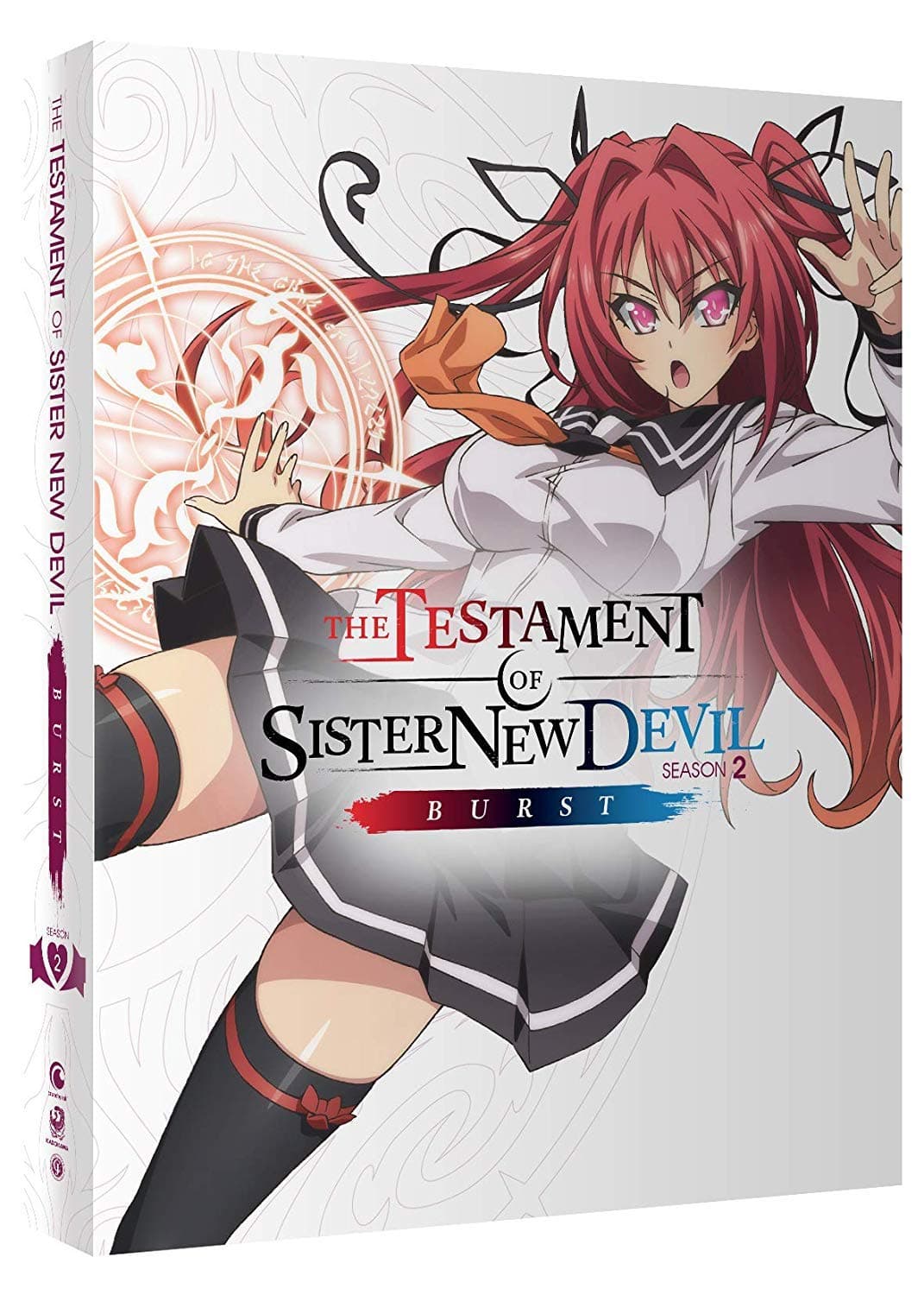 Testament of Sister New Devil Burst Collectors BD