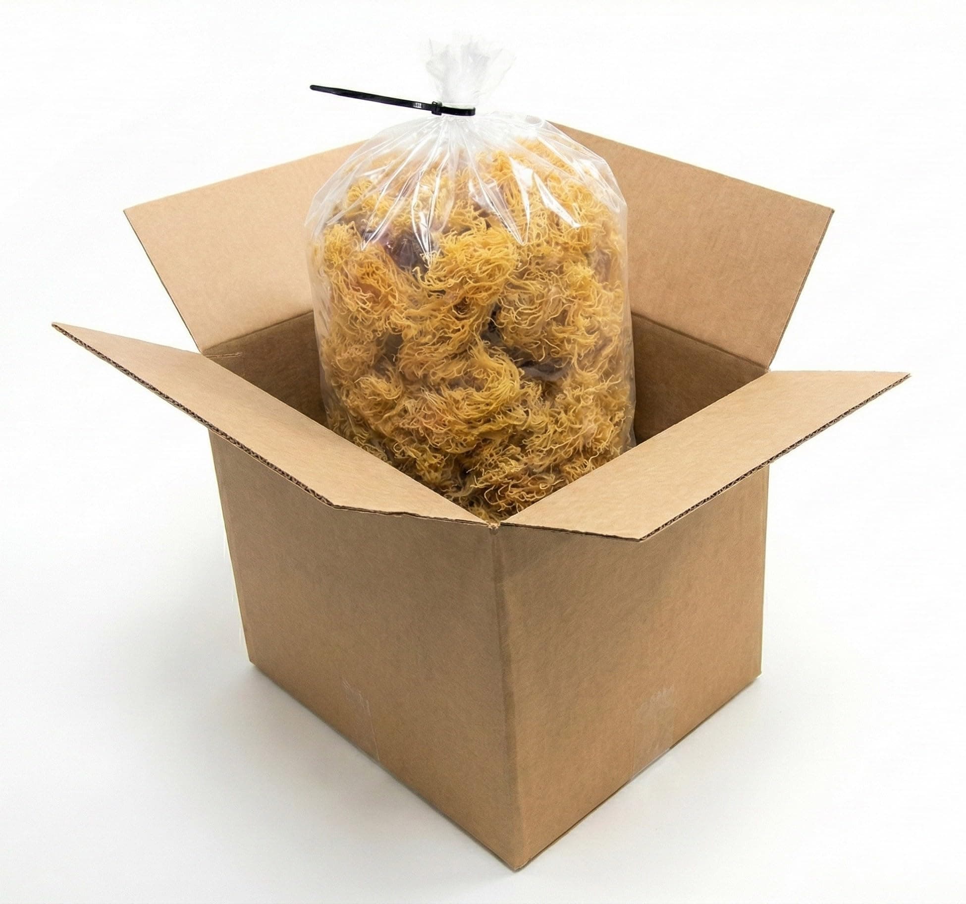 5 lb Bulk Raw Wildcrafted Sea Moss – Makes ~1100 oz Gel – Ideal for Juice Bars & Gel Makers (St. Lucia)