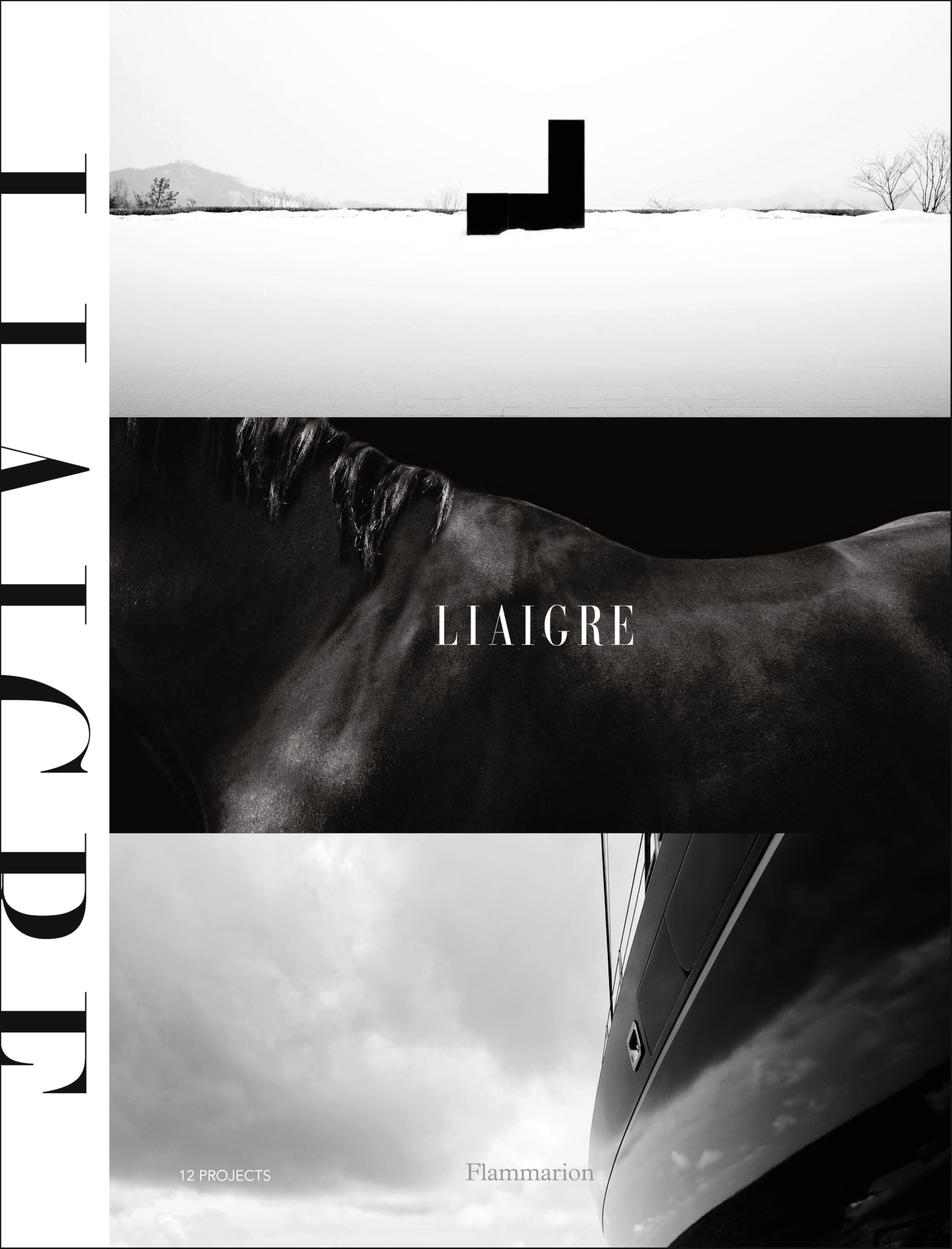 Liaigre: Twelve Projects Hardcover – 23 June 2015