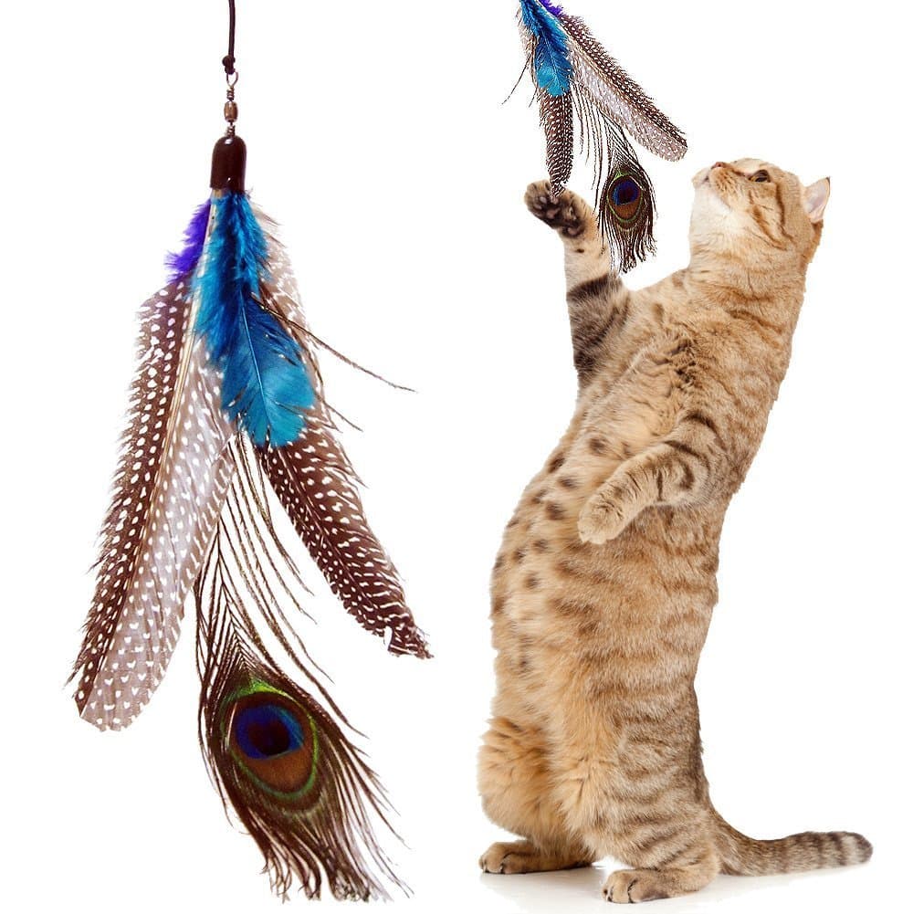 5 Pack +1 Bonus Refill Super Guinea Fowl Peacock Feathers for Cats Refill Replacement For Interactive Dancer Dangler Chaser Charmer Wand Fishing Pole Teaser Made for the Bird Catcher PRO Go Cat or Da Bird Cats Toys!