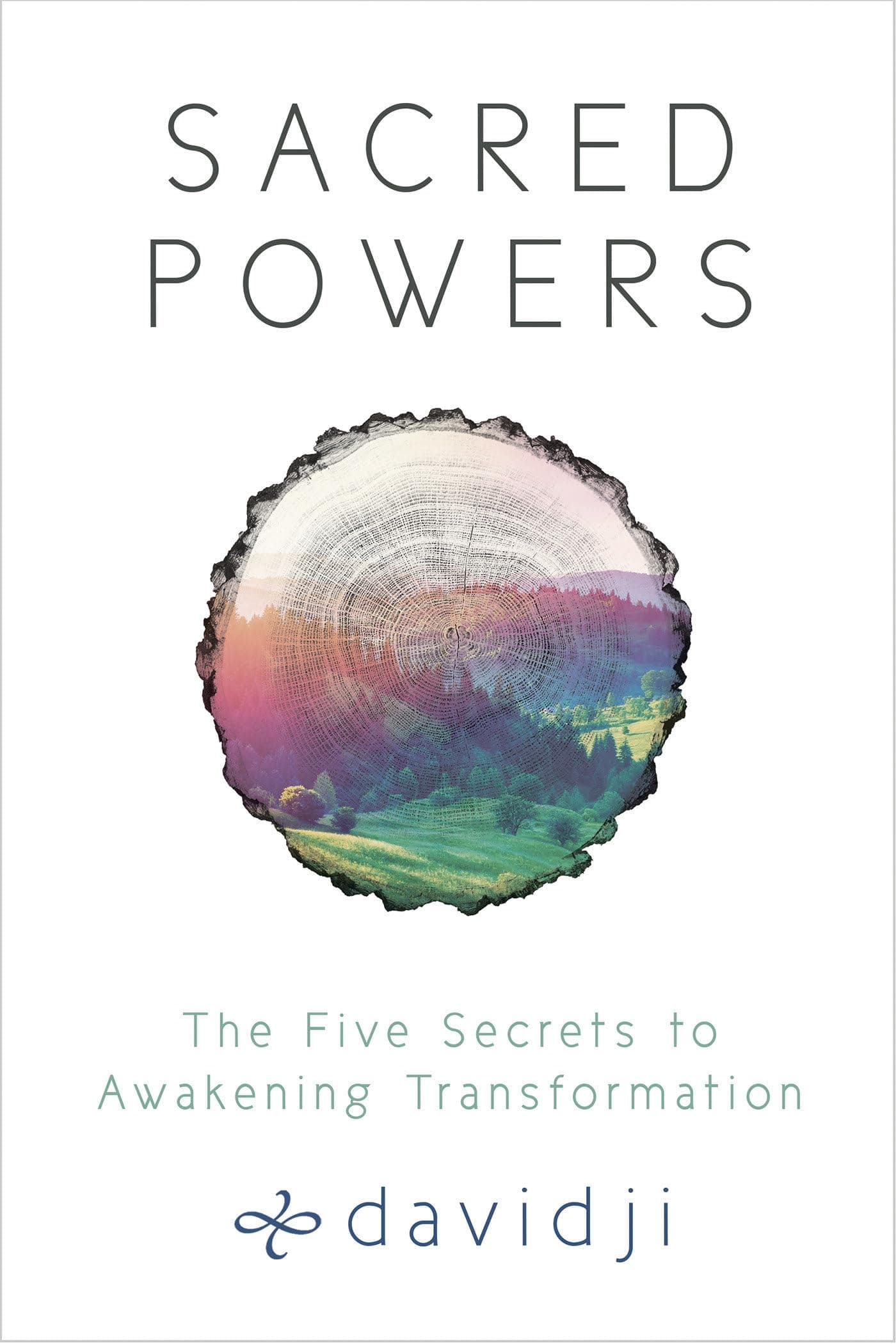 Sacred Powers: The Five Secrets to Awakening Transformation Paperback – 12 December 2017