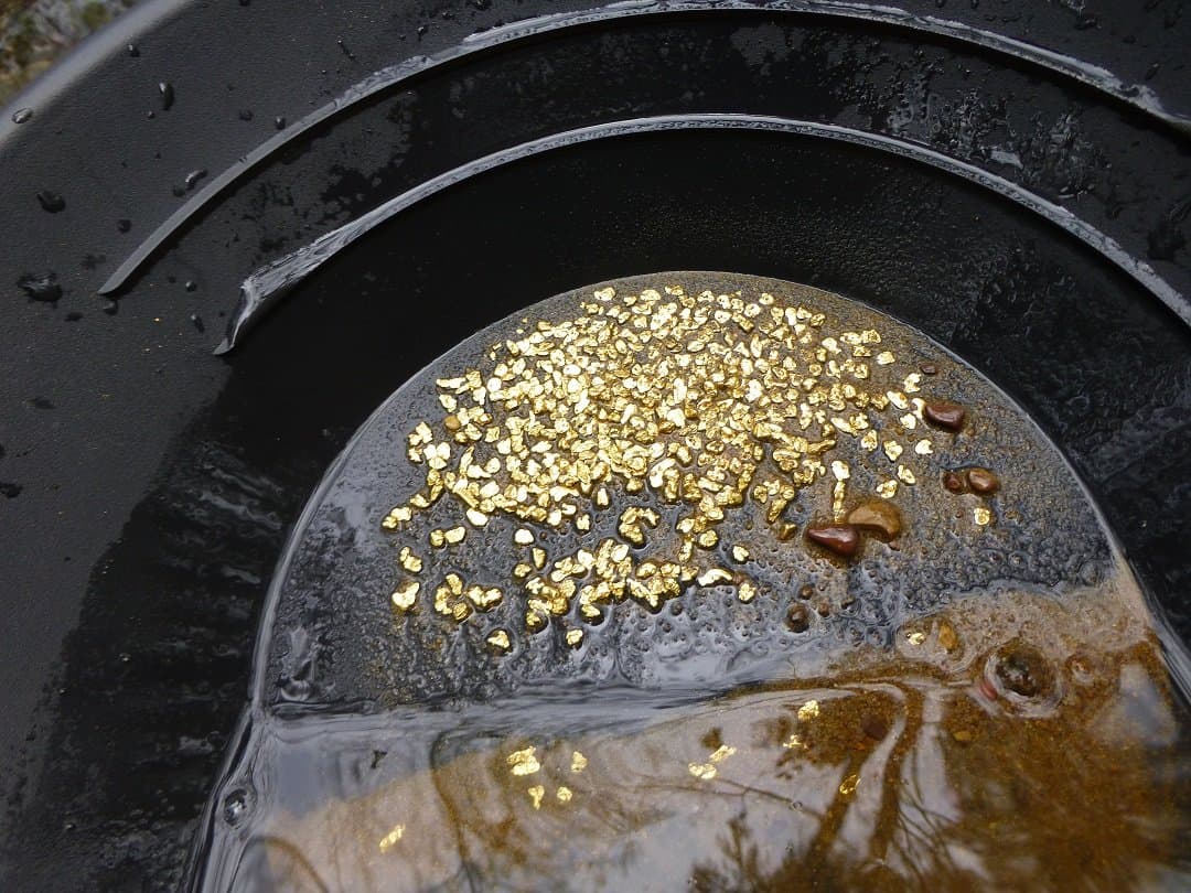 2 lb. "Picker Bag" Gold Panning Paydirt Loaded With Pickers & Small Gold Nuggets!!!