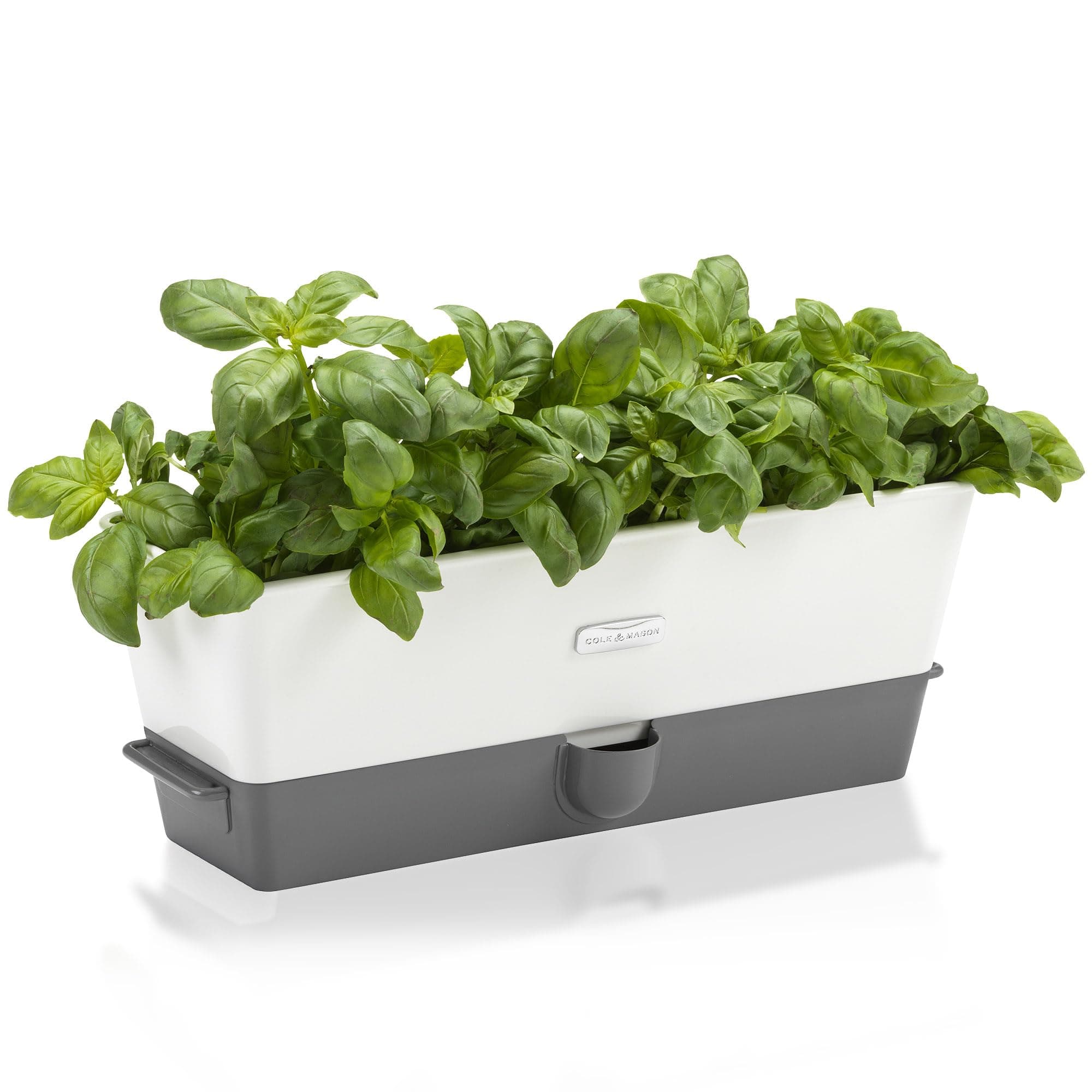 Burwell Self-Watering Potted Herb Saver (Triple)