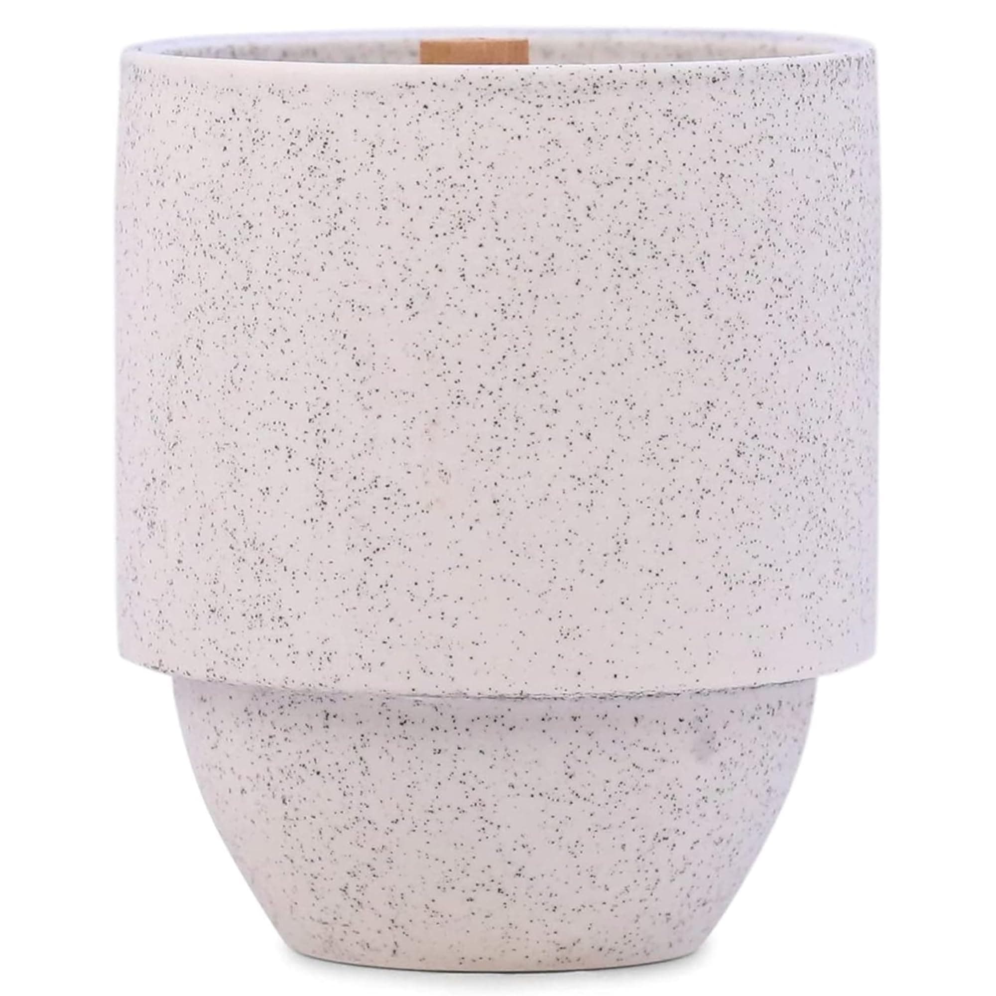 Paddywax Parks, Glacier Scented Candle in Reusable Ceramic Jar with Crackling Wood Wick, Soy Candle with Approx. 77 Hour Burn Time, Decorative Gift Candles for Home, White Pine & Hemlock Scent, 11 oz