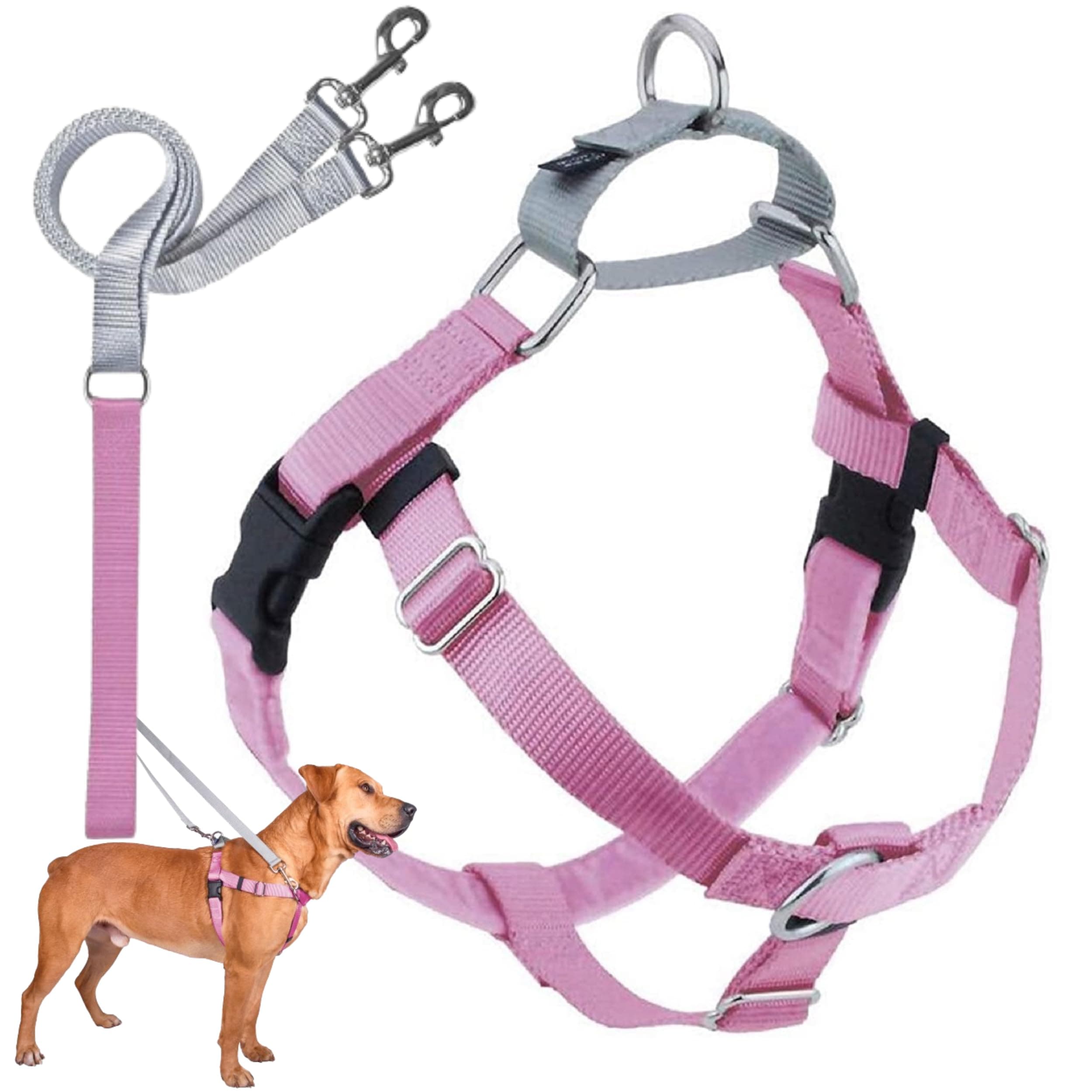 2 Hounds Design Freedom No-Pull Dog Harness with Leash, Large, 1-Inch Wide, Rose