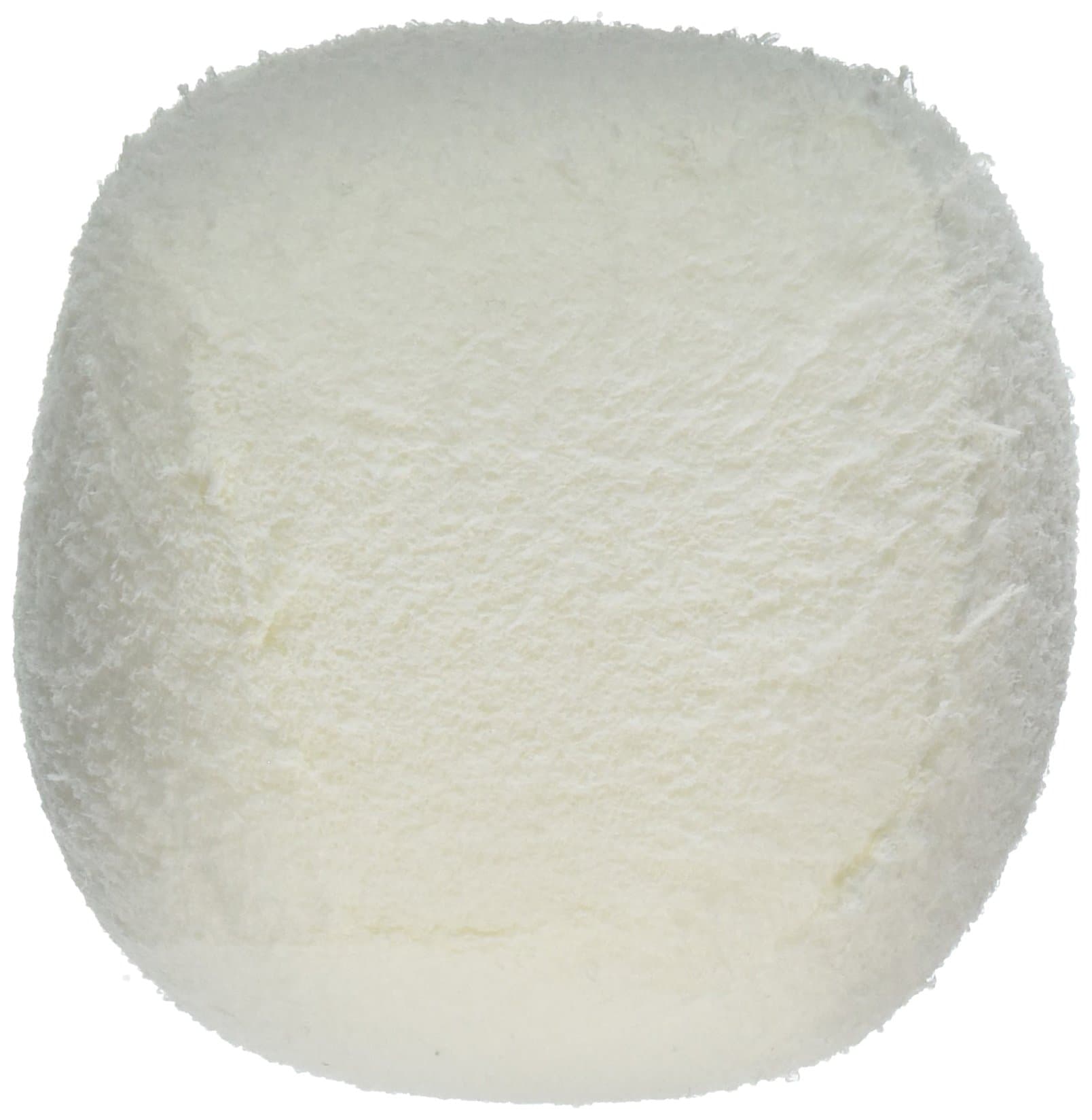 Horizon Ventures HVSB2PK 2-Pack Pool/Spa Scum Eliminating Reusable Scum Ball