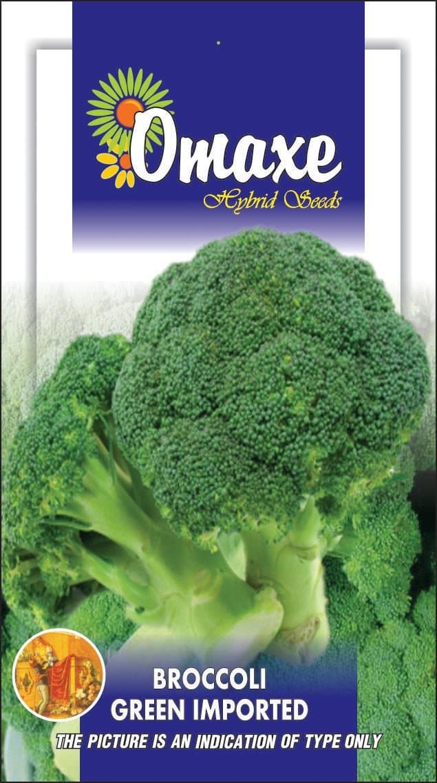 Seedscare Omaxe Broccoli Green Imported - 100 Seeds X 3 Pack Exotic Seeds