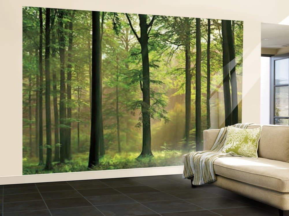 (100x144) Autumn Forest Huge Wall Mural Art