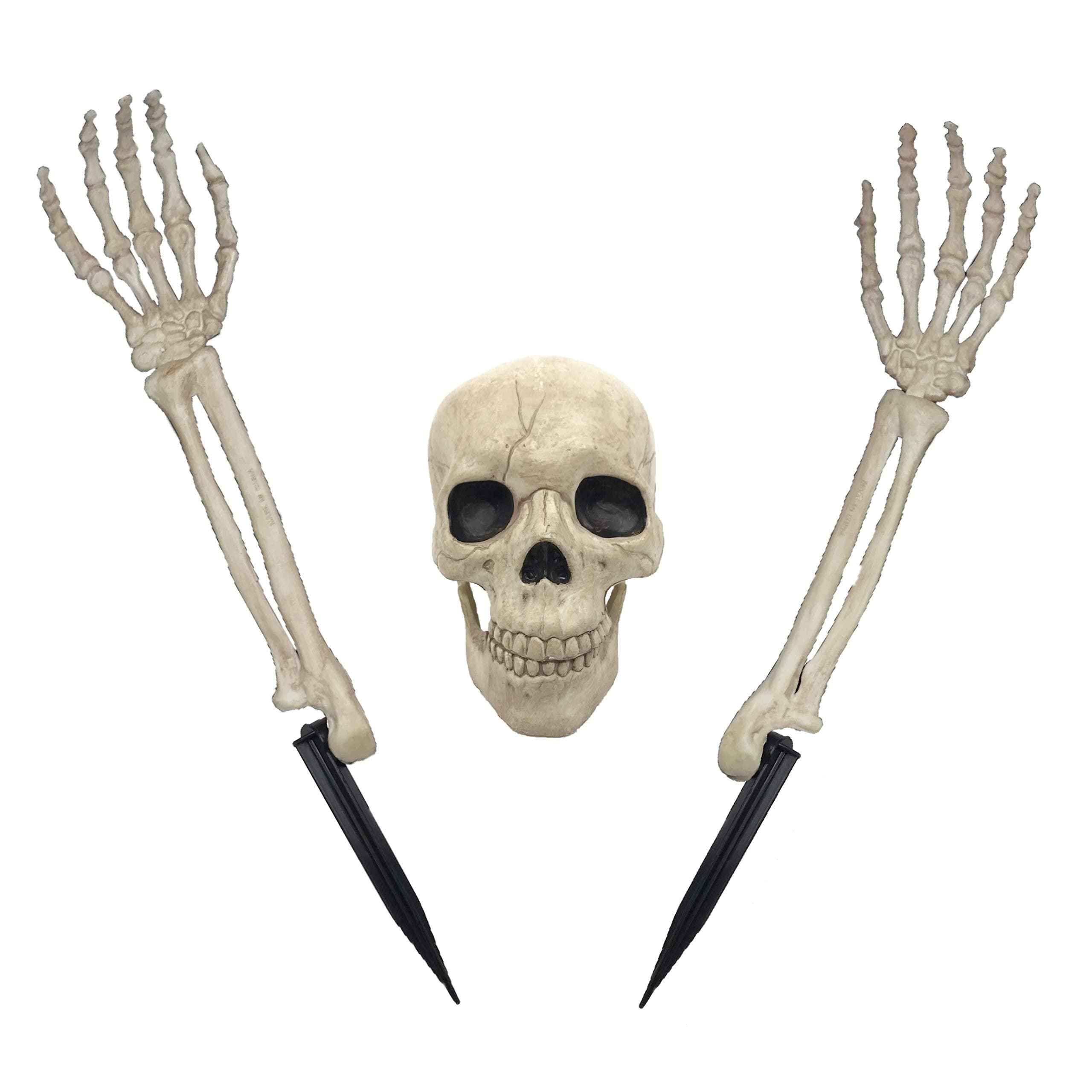 Crazy Bonez Buried Alive Skeleton Toy W80145