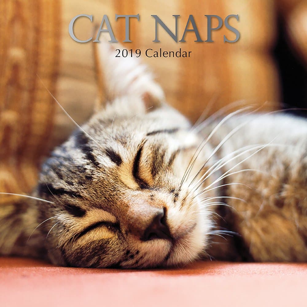 2019 Cat Naps - 12 x 12 Wall Calendar
