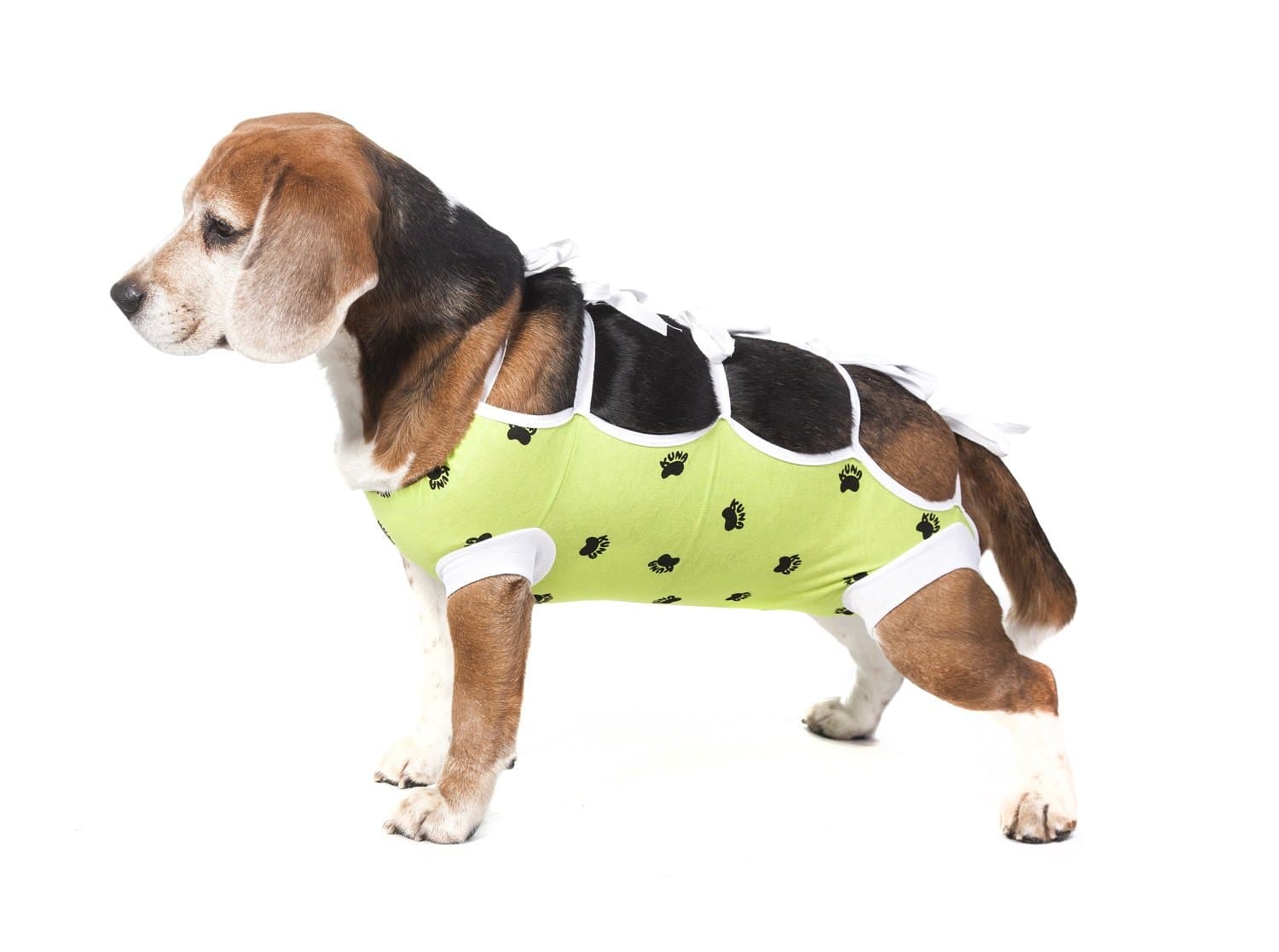 E-Collar Alternative for Cats and Dogs Designed to Protect Abdominal Wounds and Skin Disease. Award Winning and Patented Design Recommended by Veterinarians Worldwide. (Large, Lime Green)