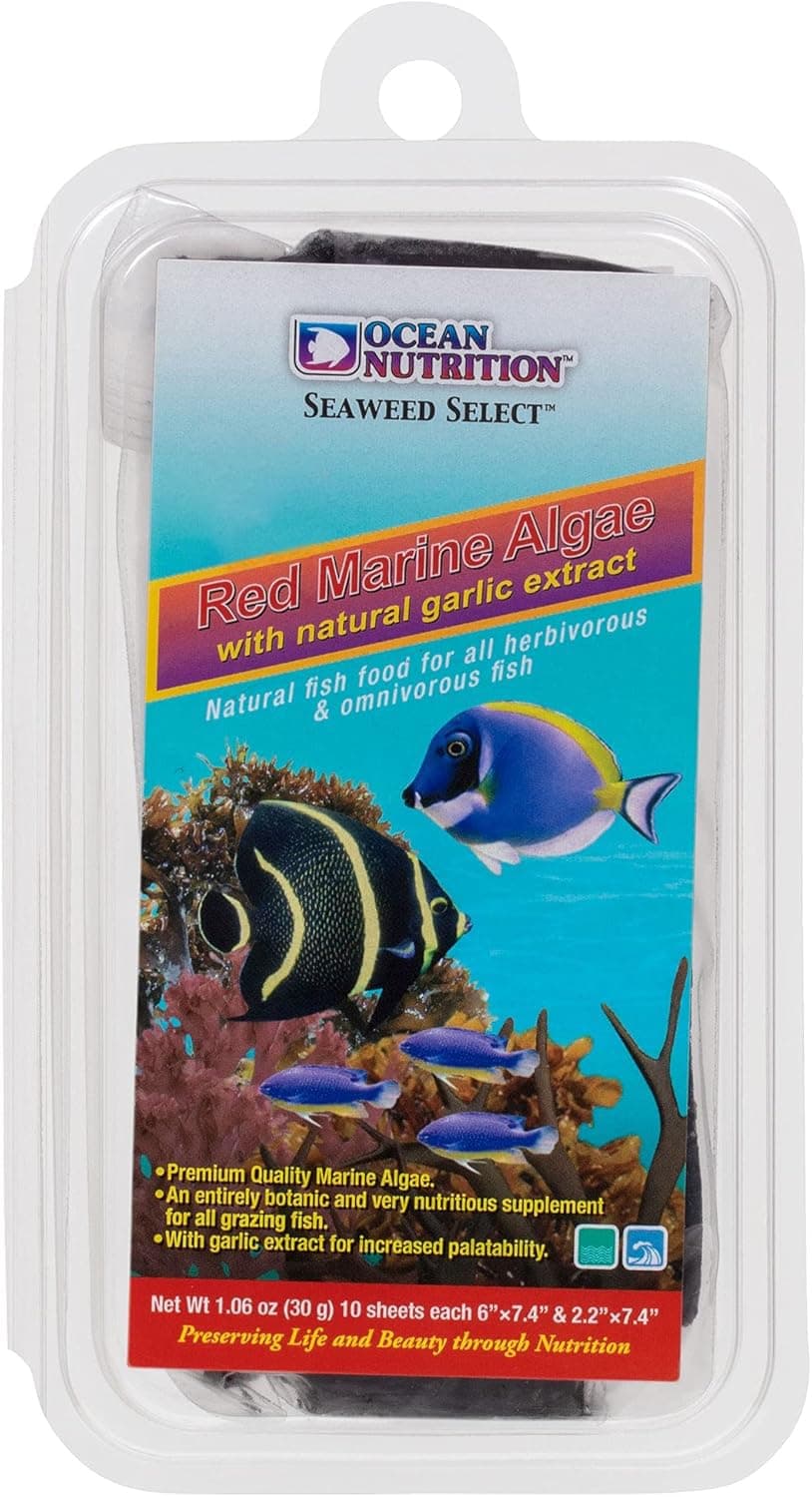 Ocean Nutrition Food Morning Algae, 20g, Red