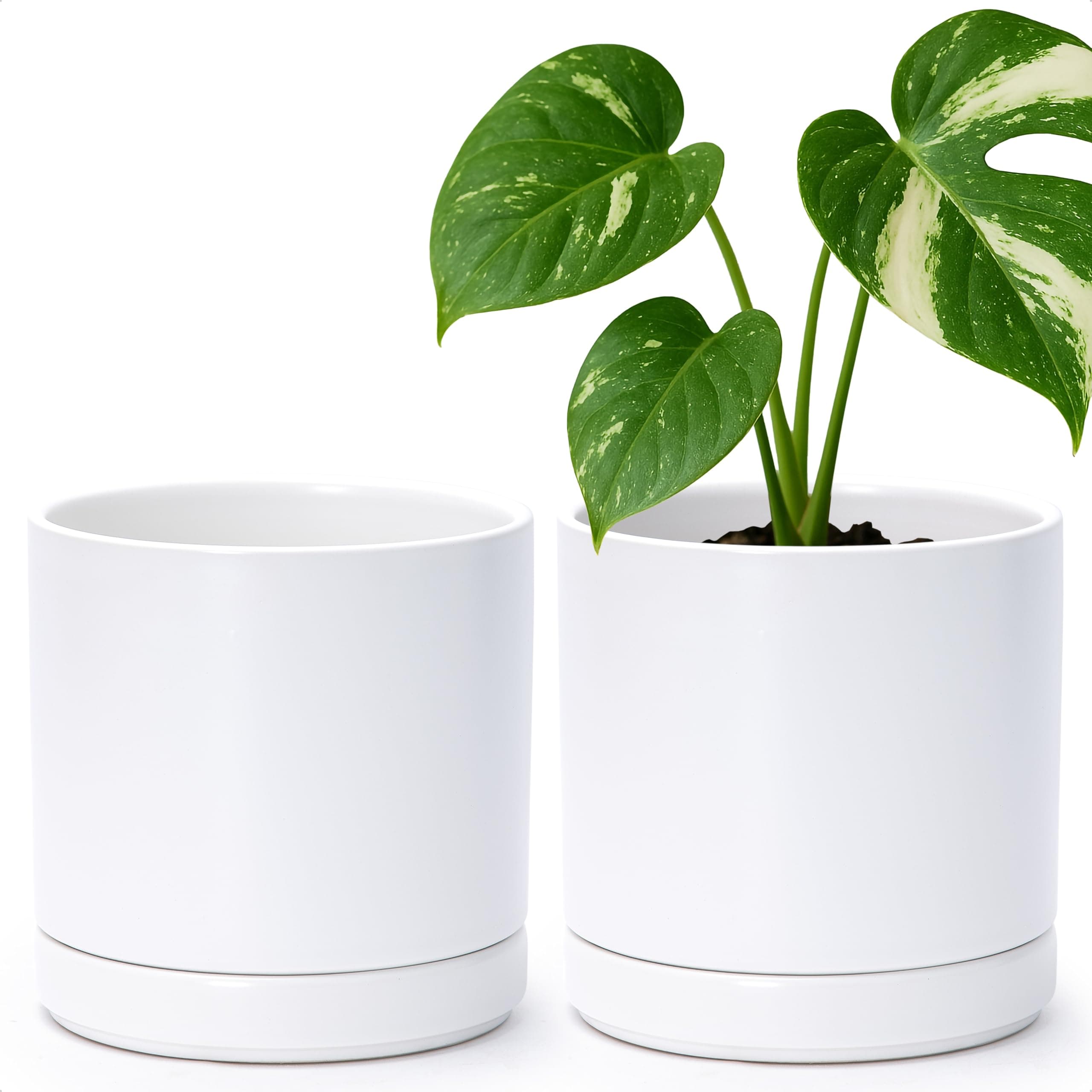 D'vine Dev Set of 2 Plants Pots, 6.5 Inch Ceramic Planter Pot for Plants with Drainage Hole and Saucer, White, 94-V-C-1