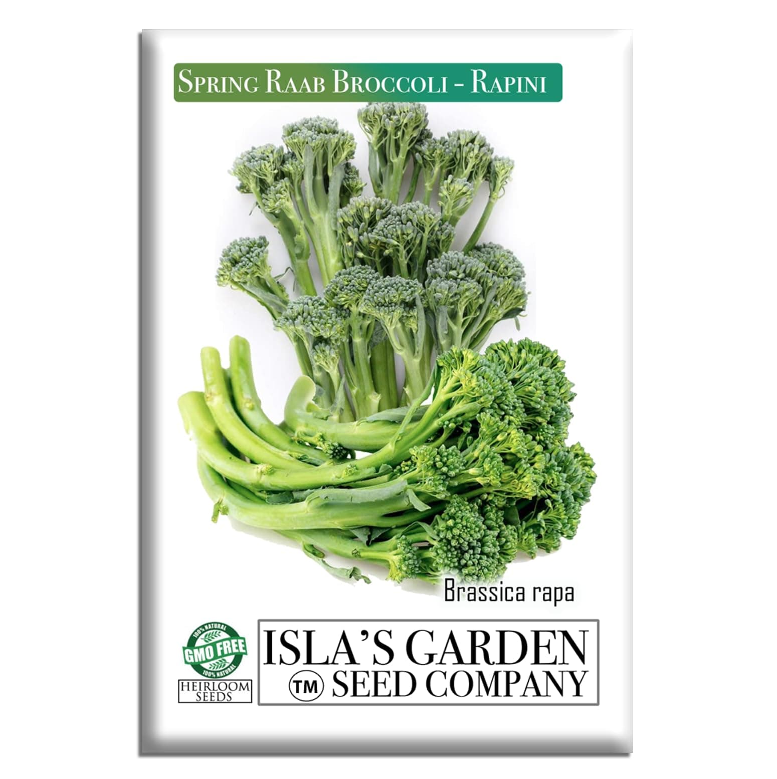 Spring Raab Broccoli Seeds (aka Rabe, Rapini, Broccolini) – 300+ Non-GMO & Heirloom Seeds, Brassica oleracea, Fast-Maturing Cool Season Green, by Isla’s Garden Seeds, Gift Idea for Home Gardens
