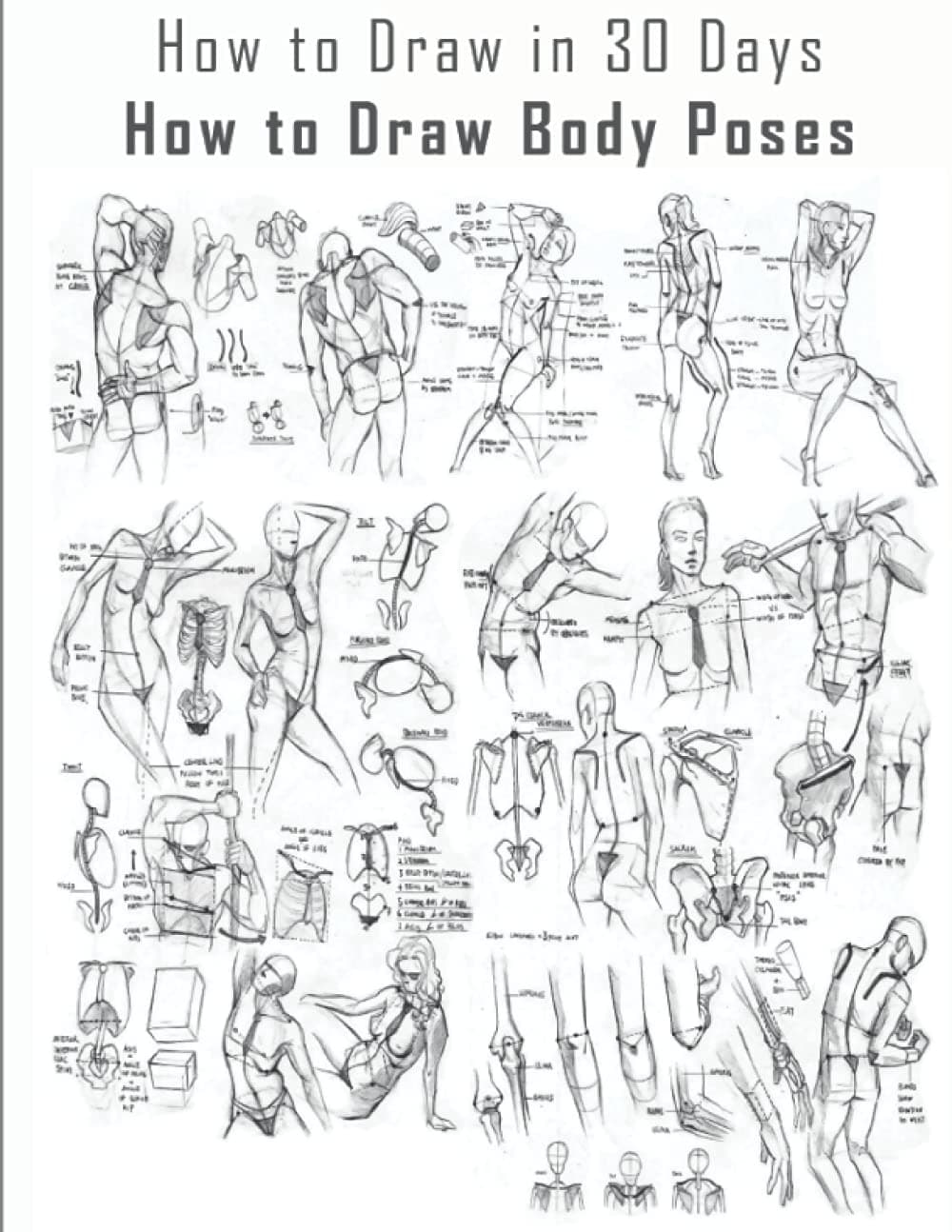 How to Draw in 30 Days: How to Draw Body Poses, How to Draw Body Poses Step by Step, How to Draw Body Poses Easy, Draw Body Poses Step by Step, Draw ... Draw Body Poses Easy, Learn to Draw Animation