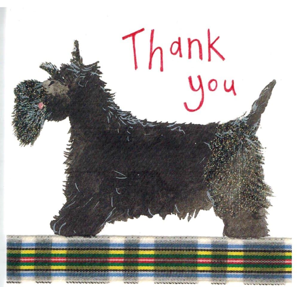 Alex Clark Art Scottish Terrier Thank You Note Card Set of 7 Cards 4.75 in X 4.75in