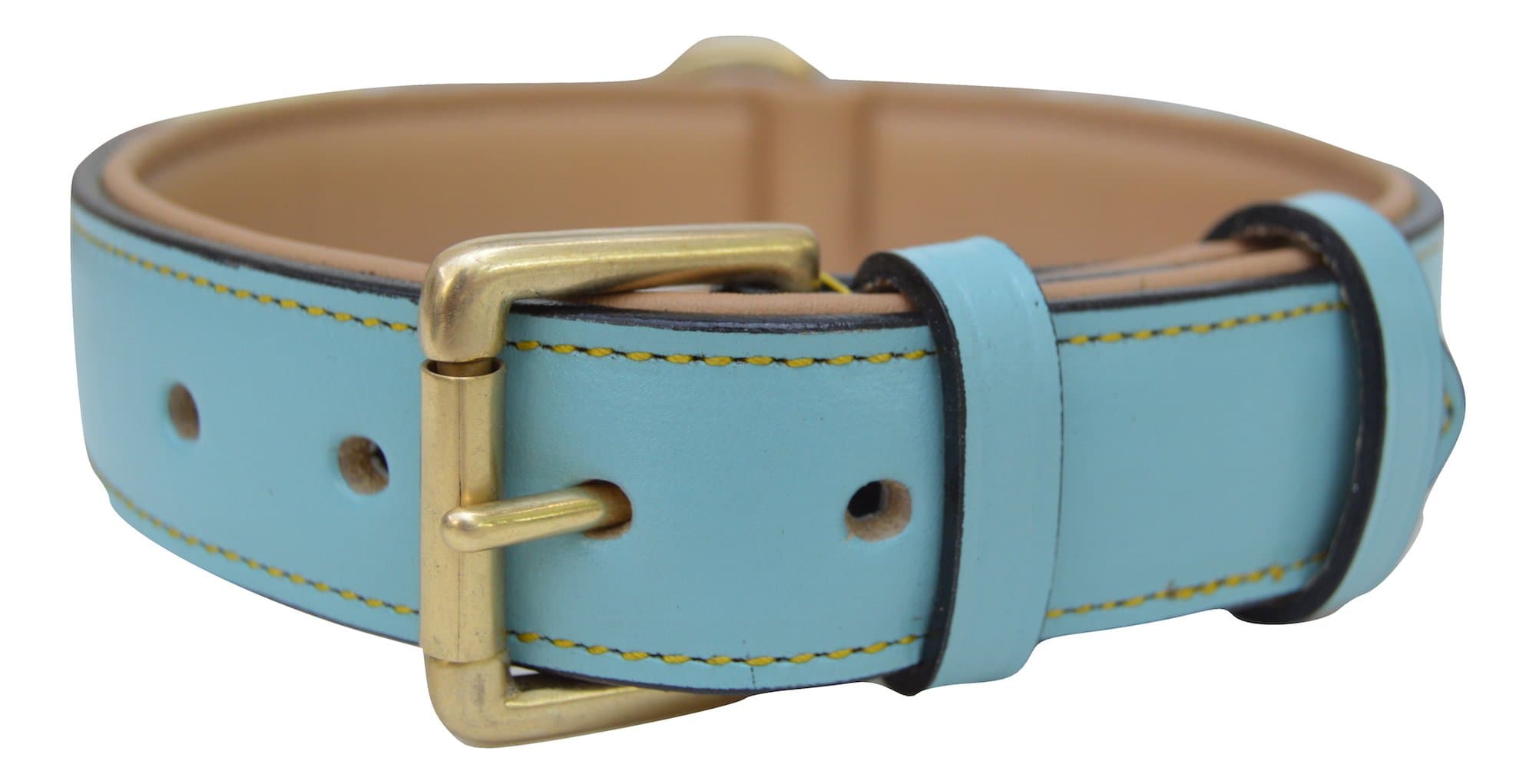 Leather Padded Dog Collar, Size Large, Turquoise with Beige Padding, 24" Long x 1.5" Wide, Neck Size Fits 18" to 21", Genuine Real Leather