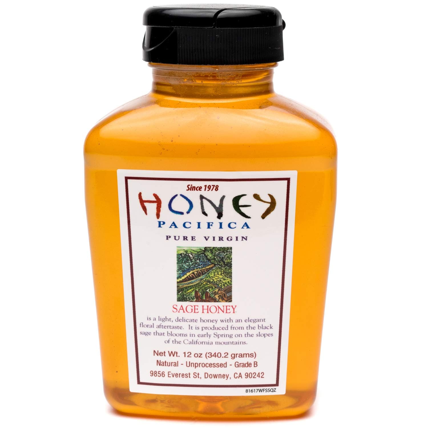 Honey Pacifica Sage Honey, 12 oz. Squeeze Jar, Unfiltered, Unprocessed Honey Direct From a California Beekeeper