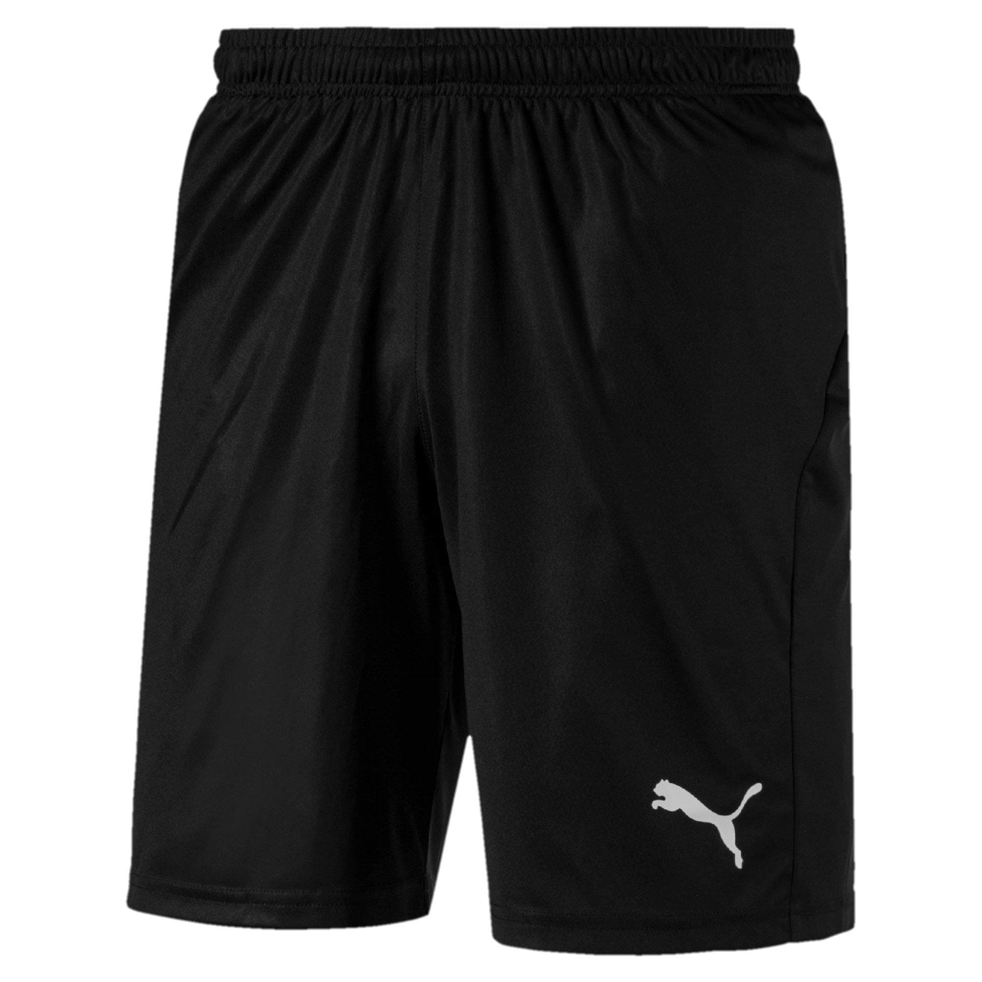 PUMAMens LIGA Core Shorts