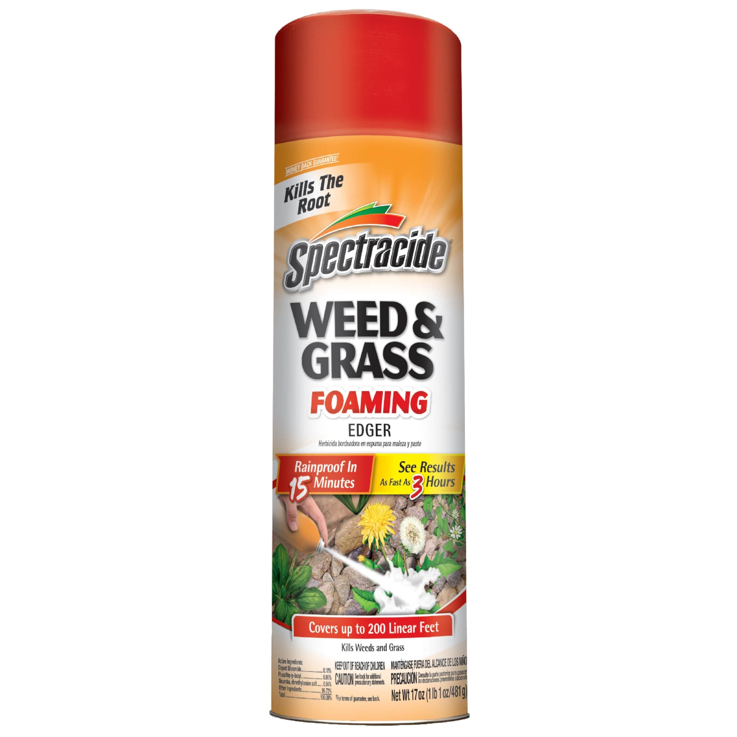 Spectracide Weed & Grass Foaming Edger (17 oz), 1 Count