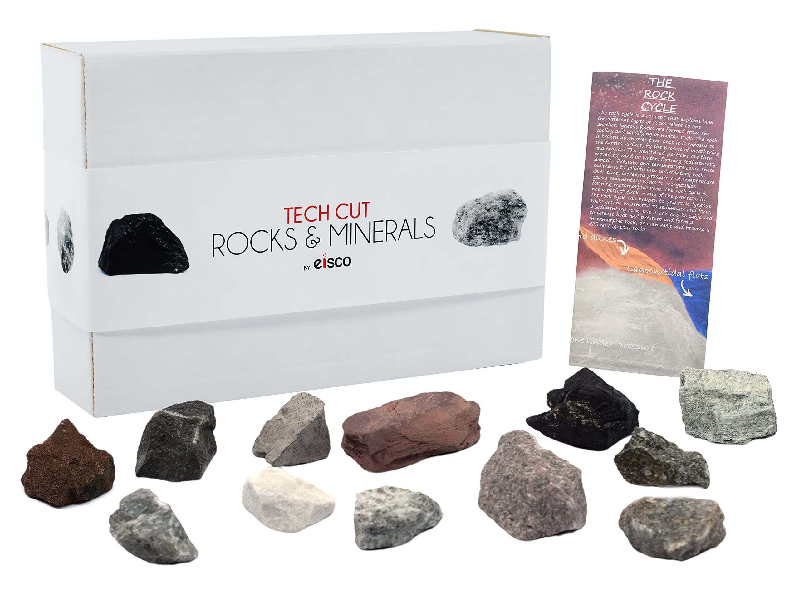 EISCO Rock Cycle Kit - 12 Pieces - Metamorphic, Igneous & Sedimentary Rocks - 1" Specimens - Geology Activity for Ages 8+