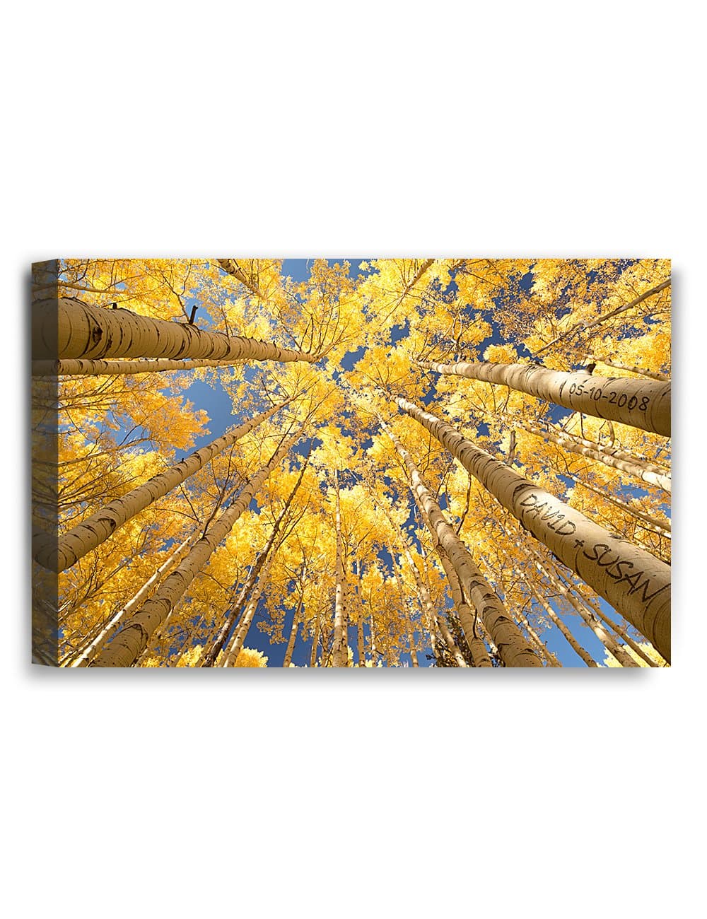 IPIC - Fall in Love, Personalized Artwork with Names and Date on, Customized Gift for Anniversary,Wedding,Birthday and Holidays. 18x12