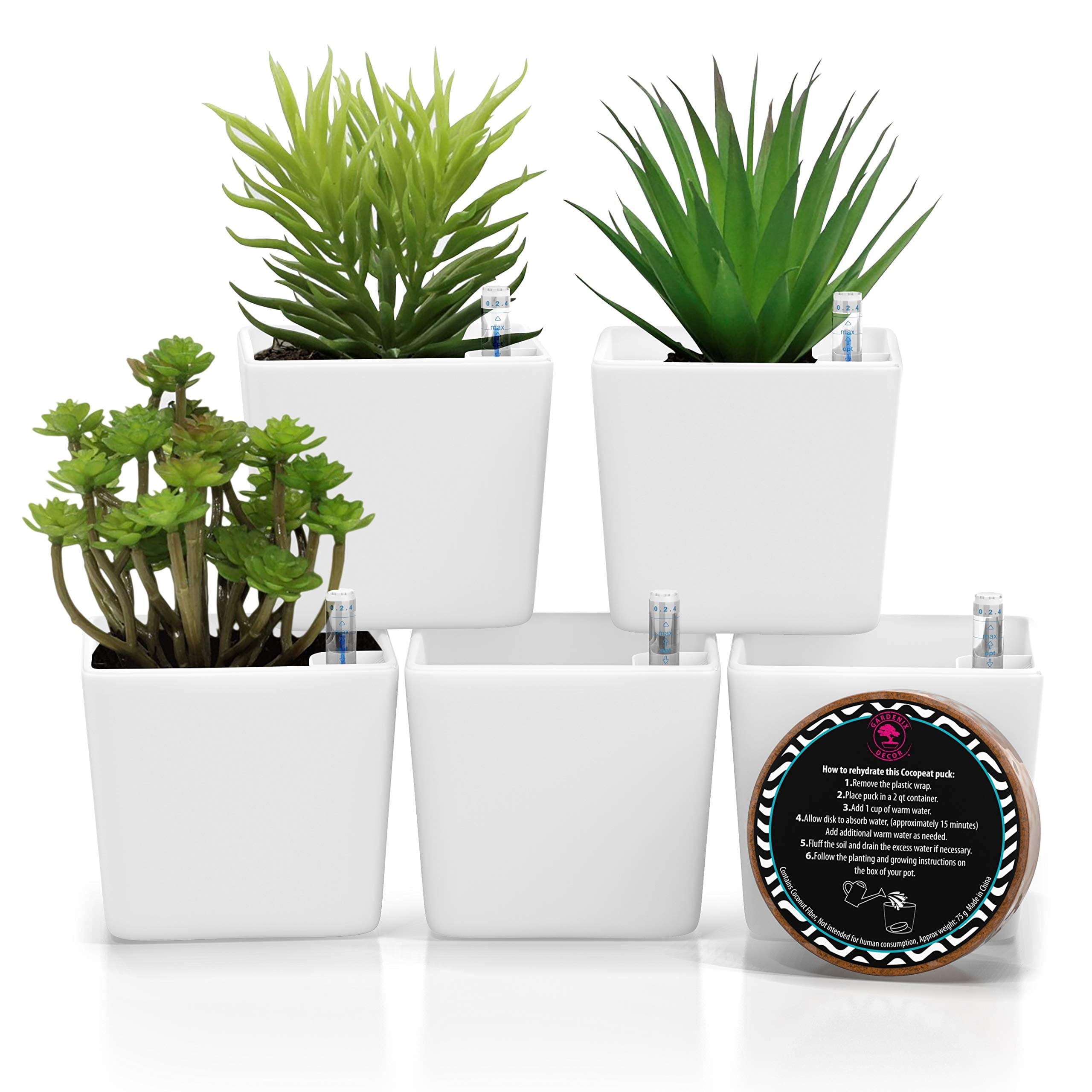 3.5" Plant pots self-watering succulent pots – Easy succulent planters pots for plants – Perfectly watered over 10 days for happy, healthy plants – Water level indicator + coco fiber pellet - White