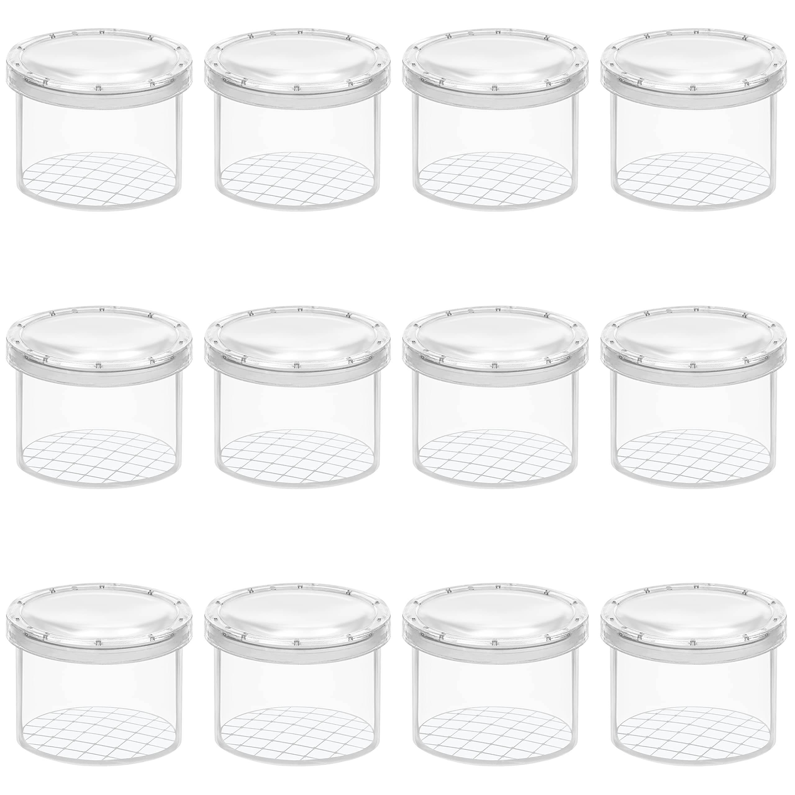 12 Pack Magnifying Insect Container - Clear Observation Bug Box/Viewer - Portable Insect Cage for Science/Nature Exploration and Bug Collecting - Catching Tool/Toy for Adults and Children
