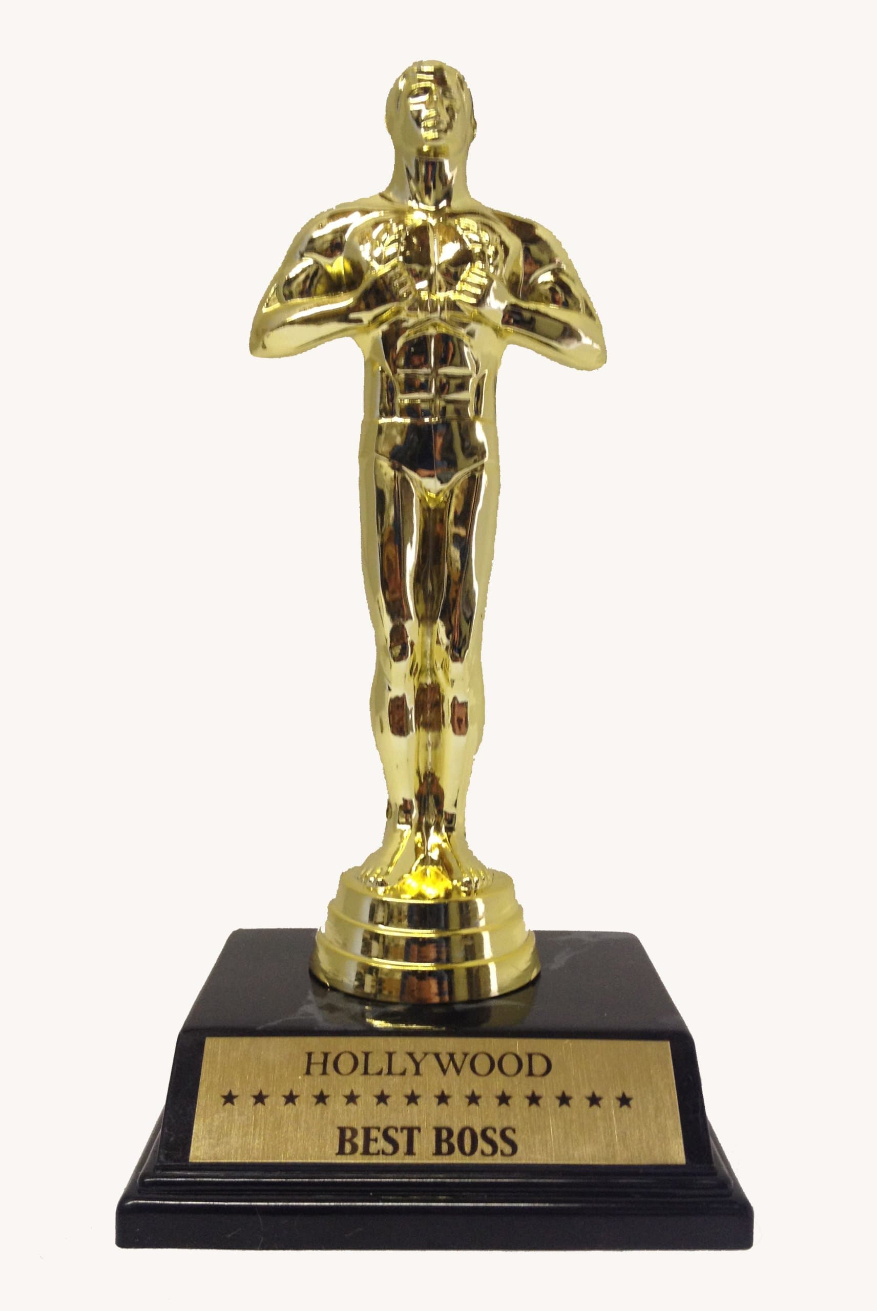 Best Boss Victory Trophy Award, Achievement Award