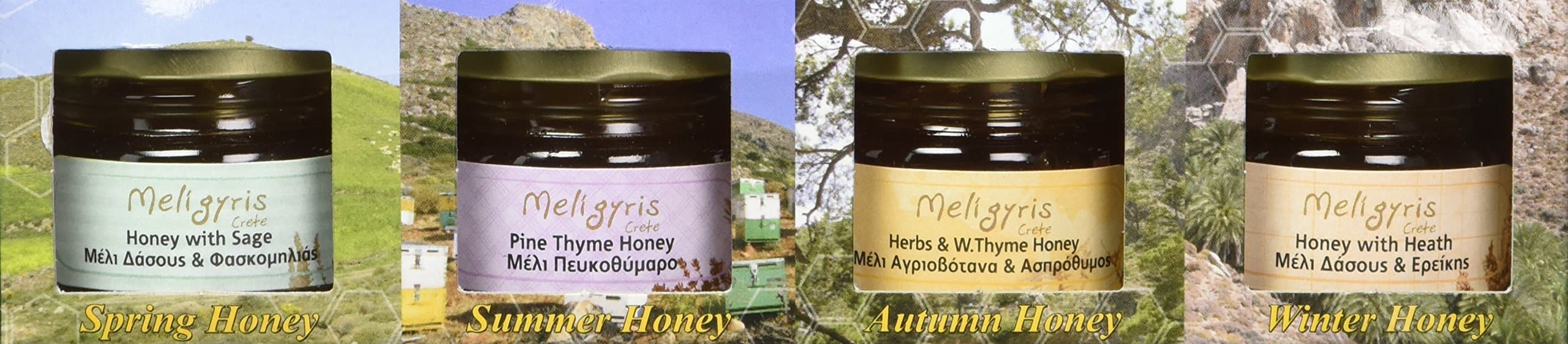 Meligyris 4 Seasons Honey, 4.2 Ounce