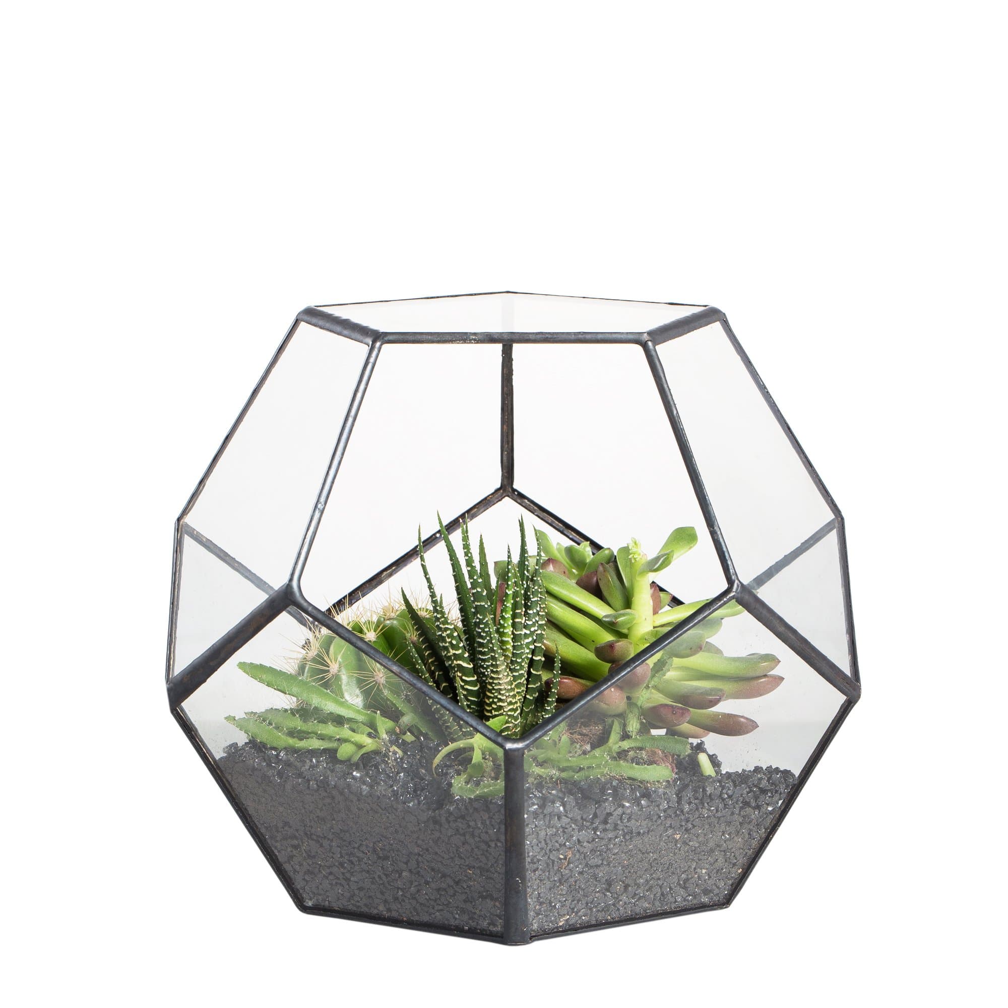 NCYP Small No Door Terrarium Planter - 6.8" x 6.8" x 5.9" Open Geometric Glass Terrarium Pot for Mini Succulents, Small Cactus - Home Tabletop Miniature Decor, Black (No Plants)