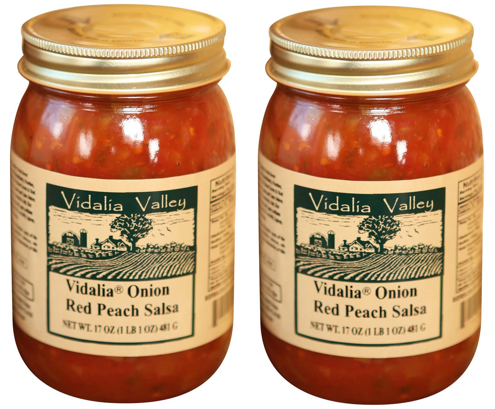 Vidalia Valley Onion Red Peach Salsa, 17 oz (Pack of 2)