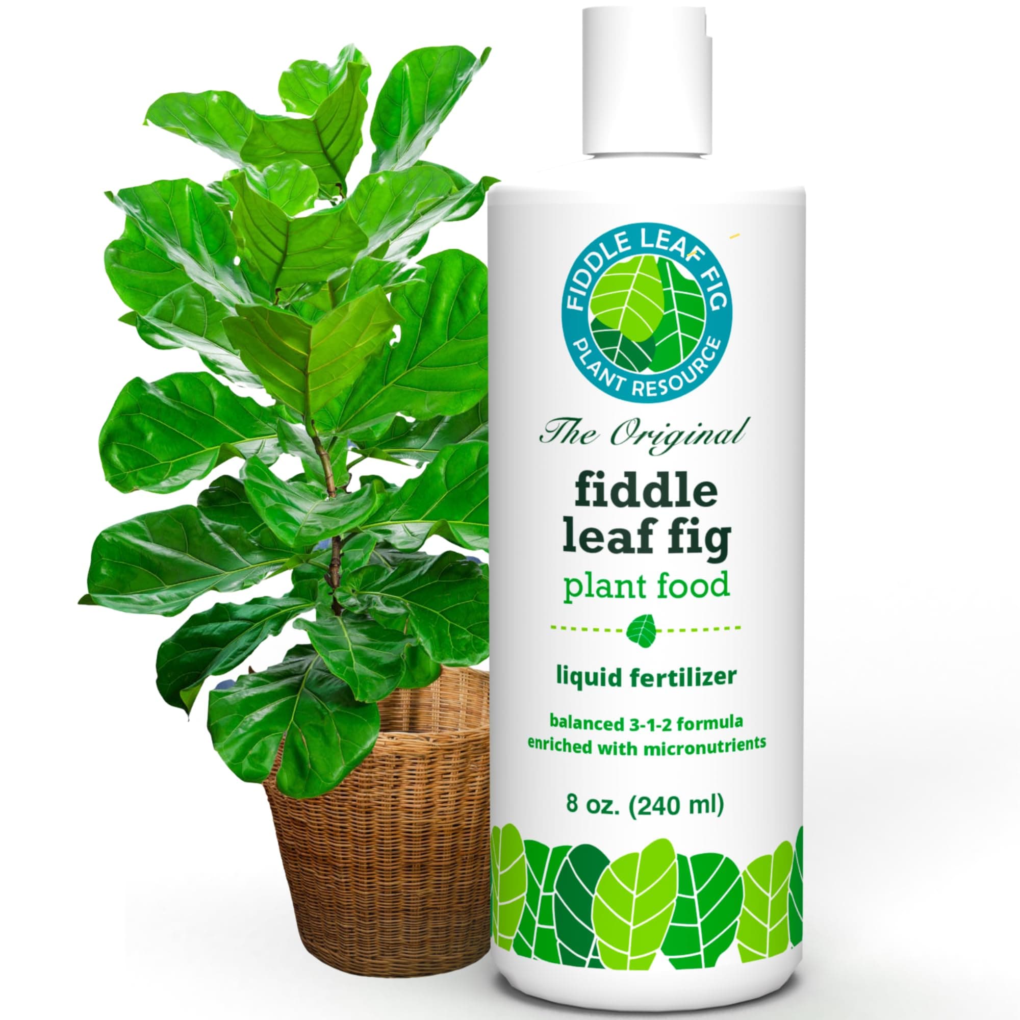 Fiddle Leaf Fig Plant Food – 3‑1‑2 Balanced NPK Liquid Fertilizer for Larger Leaves, Stronger Roots & Steady, Vibrant Growth | Suitable for All Ficus Including Ficus Lyrata | Made in USA | 8 oz