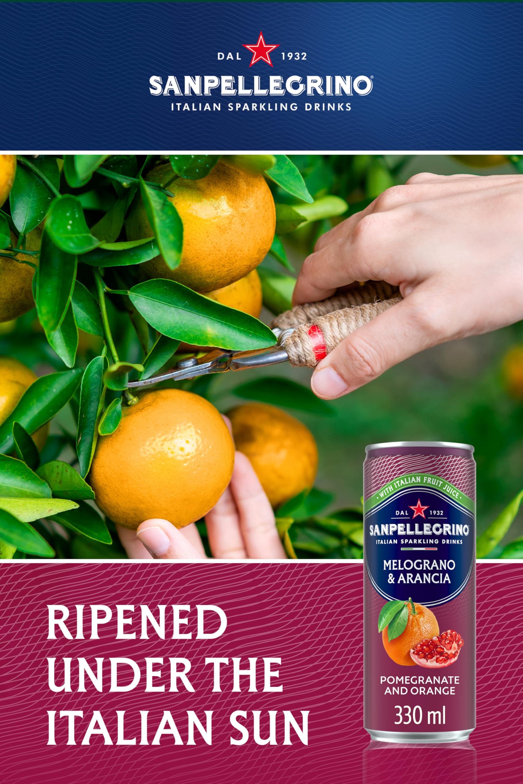 San Pellegrino Pomegranate