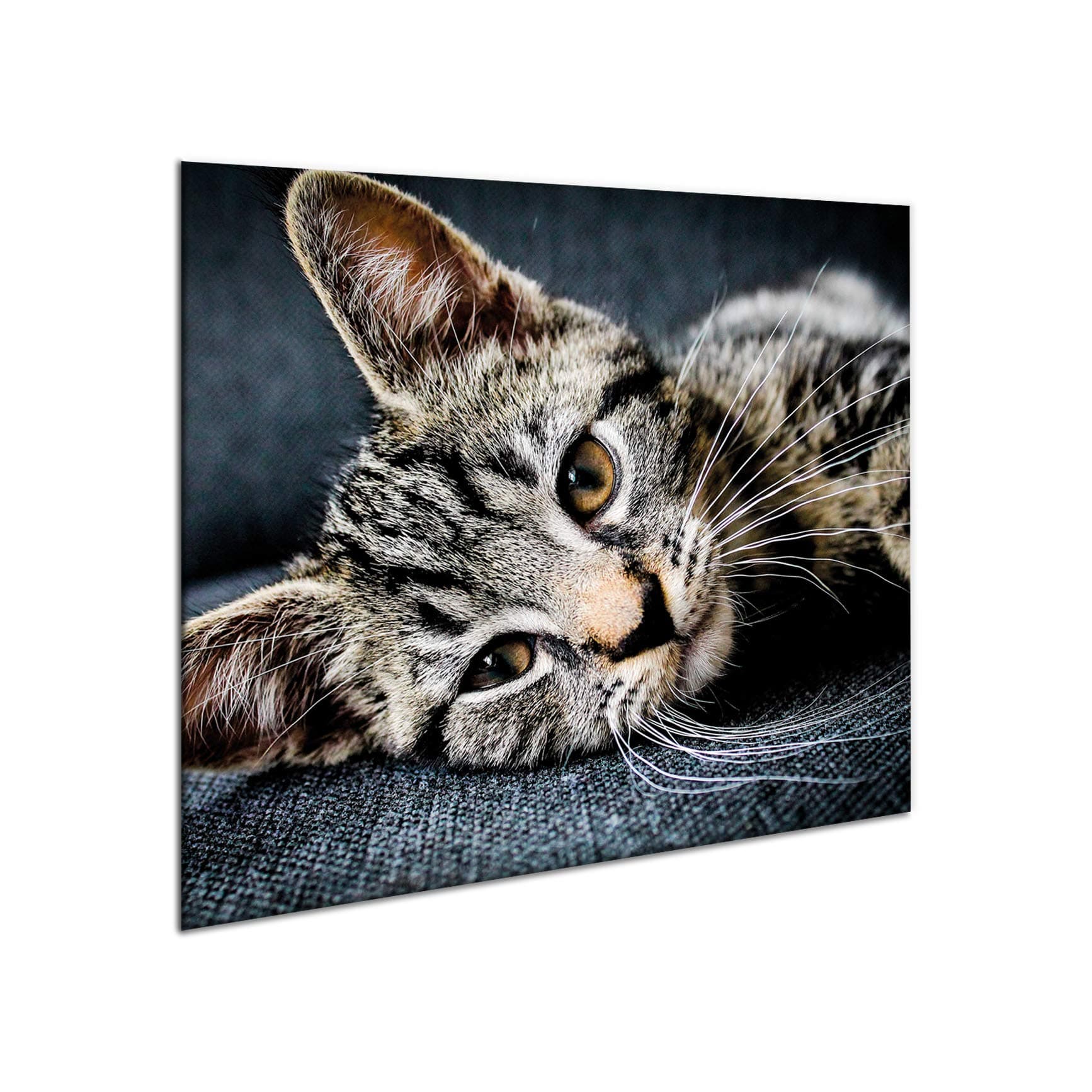 Ceramic Induction Hob Protector Cover 60 cm x 52 cm | Kitchen Wall Splashback | Large Chopping Board | Universal Tempered Glass Panel | Worktop Saver | Food Preparation | Sink Cover | by semUp