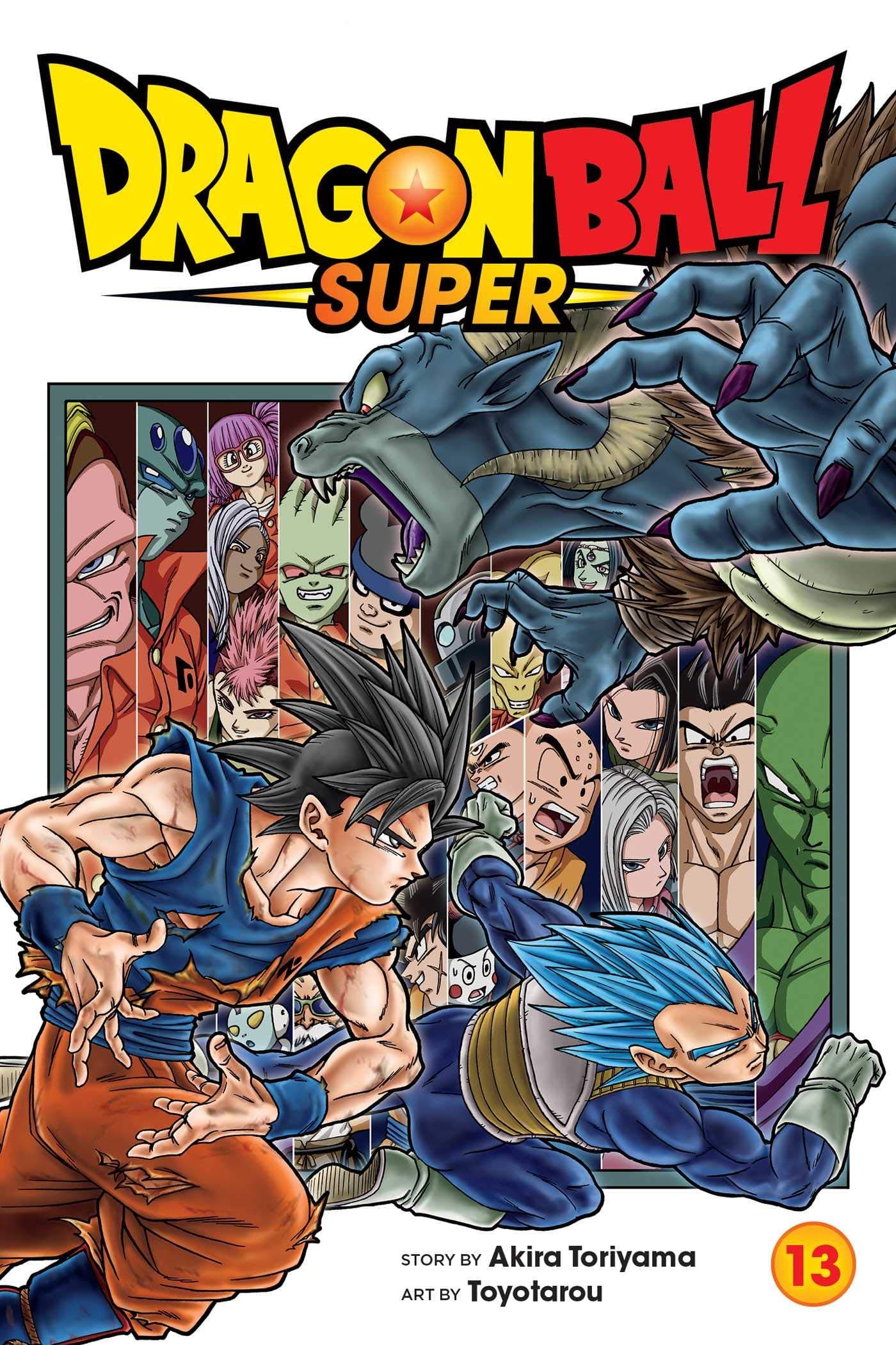 Dragon Ball Super, Vol. 13: Volume 13