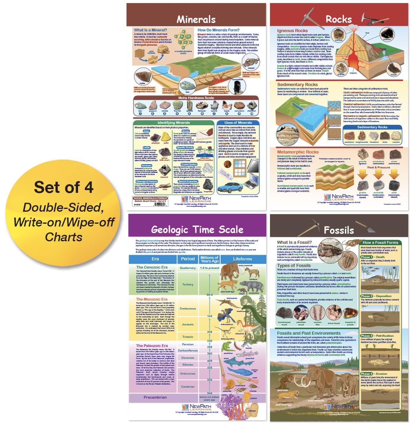 NewPath Learning Rocks, Minerals & Fossils Bulletin Board Charts, Set/4 - Laminated, Double-Sided, Full-Color, 12" x 18" (94-8005)