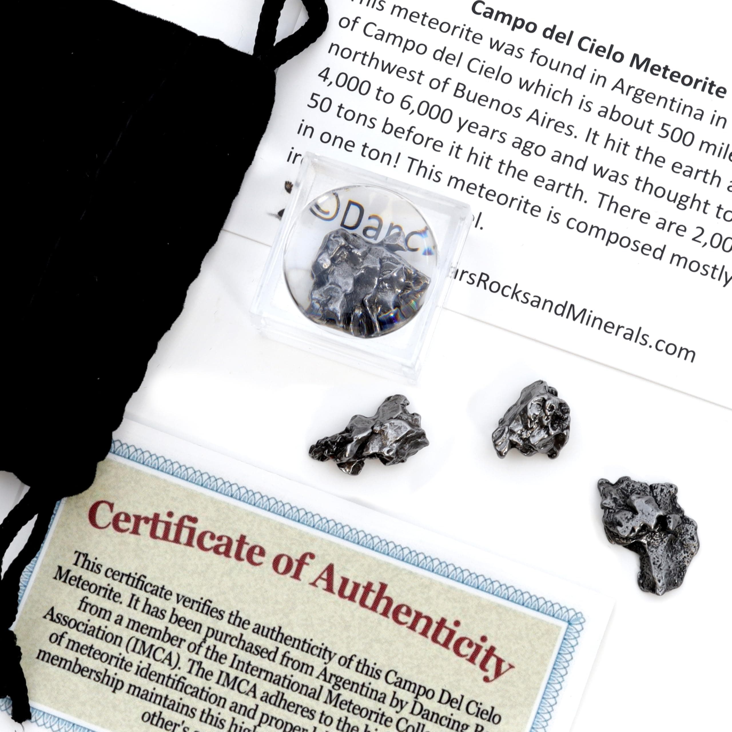 Dancing Bear Meteorite Kit, 6 to 9 pcs Campo del Cielo from Argentina, Educational Science Kit for Children, Ages 6+