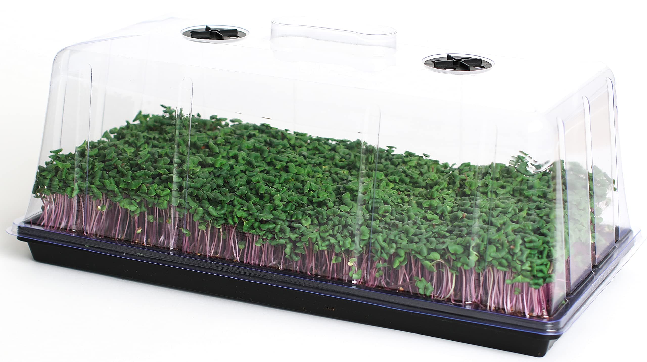 1020 Humidity Dome Lid 7.5" Tall 5 Pack - Extra Strength, Reusable Vented Clear Plastic Germination Dome for Garden Plant Propagation Station for 1020 Tray Seedling Cloning Or Seed Starting