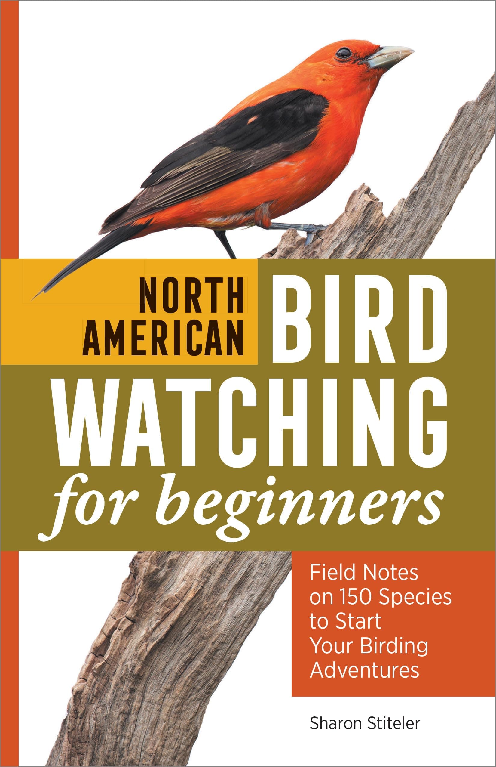 - North American Bird Watching for Beginners: Field Notes on 150 Species to Start Your Birding Adventures (Bird Watching Adventures)