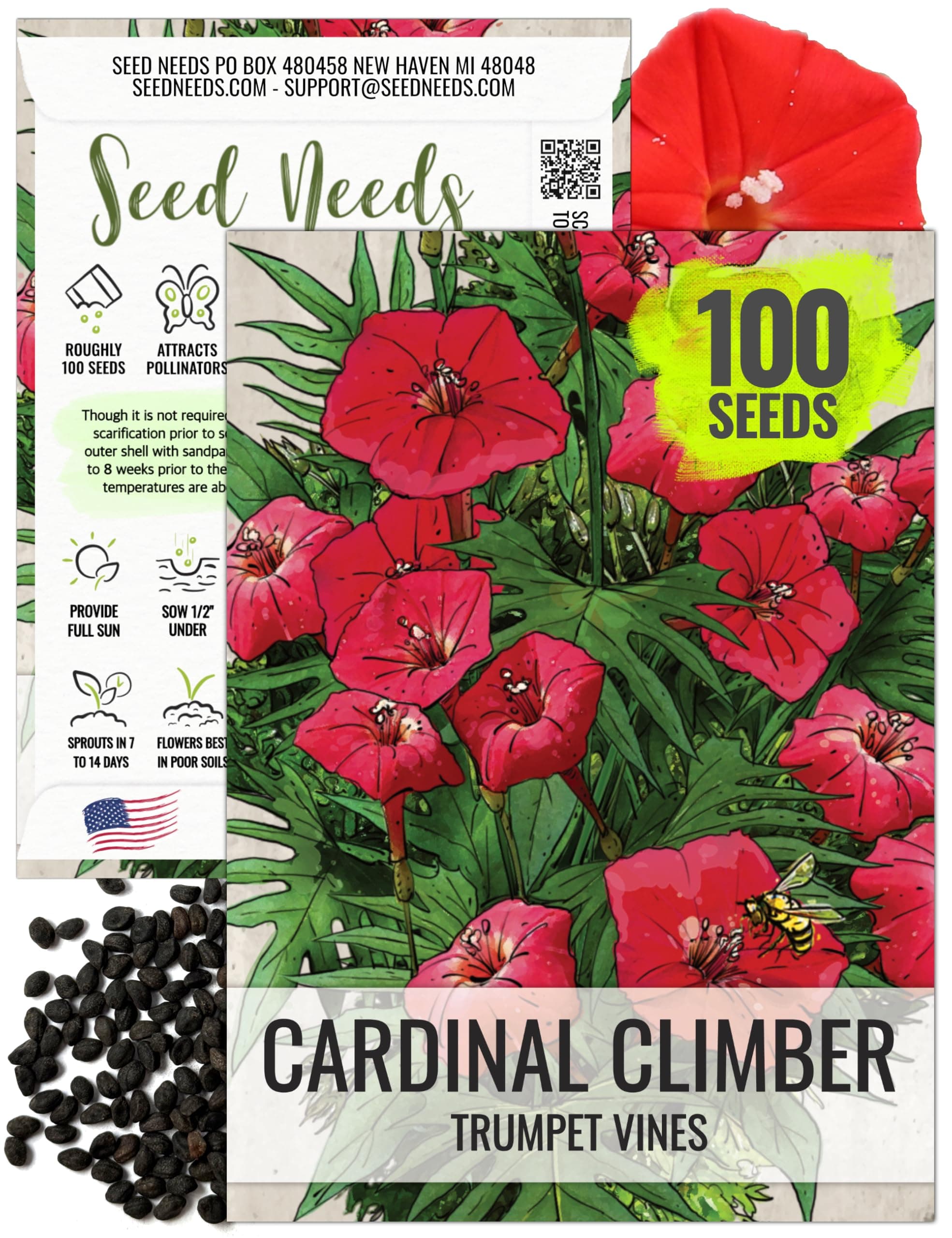 Seed Needs, Cardinal Climber Seeds - 100 Heirloom Seeds for Planting Ipomea Quamoclit - Open Pollinated & Untreated, Attracts Pollinators (1 Pack)