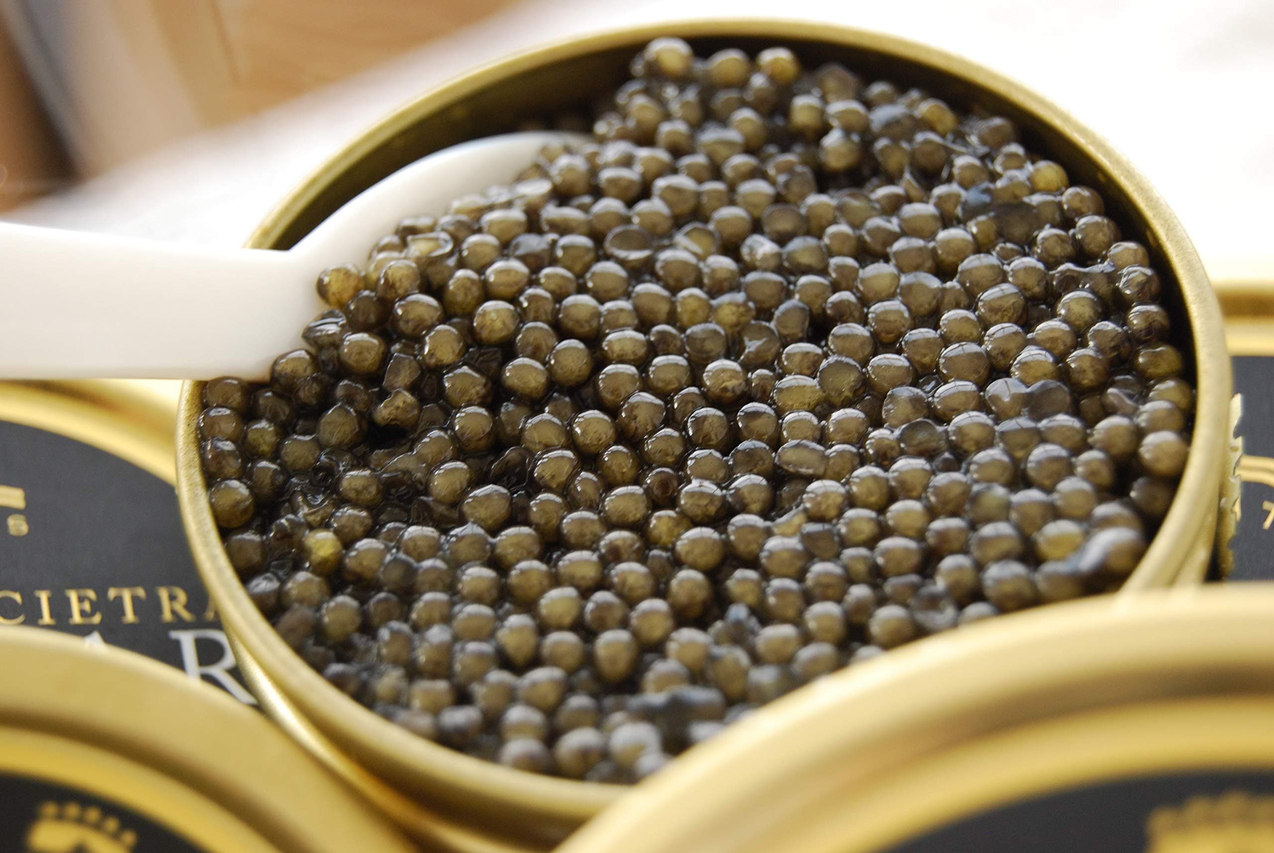 Attilus Royal Oscietra Caviar 250g