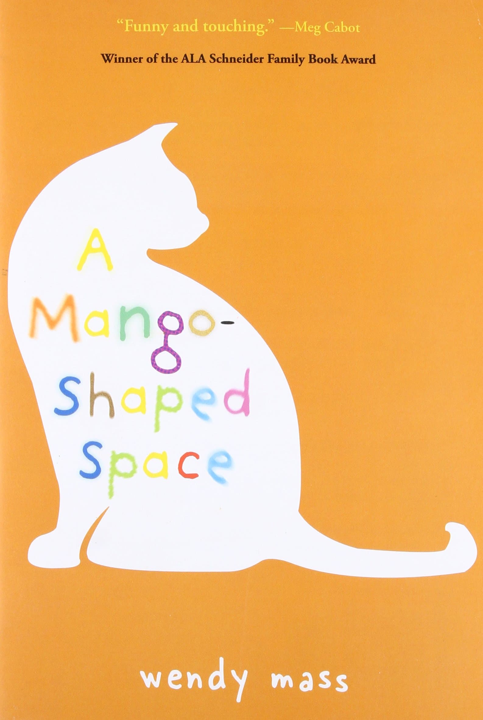 A Mango-Shaped Space Paperback – 19 Oct. 2005