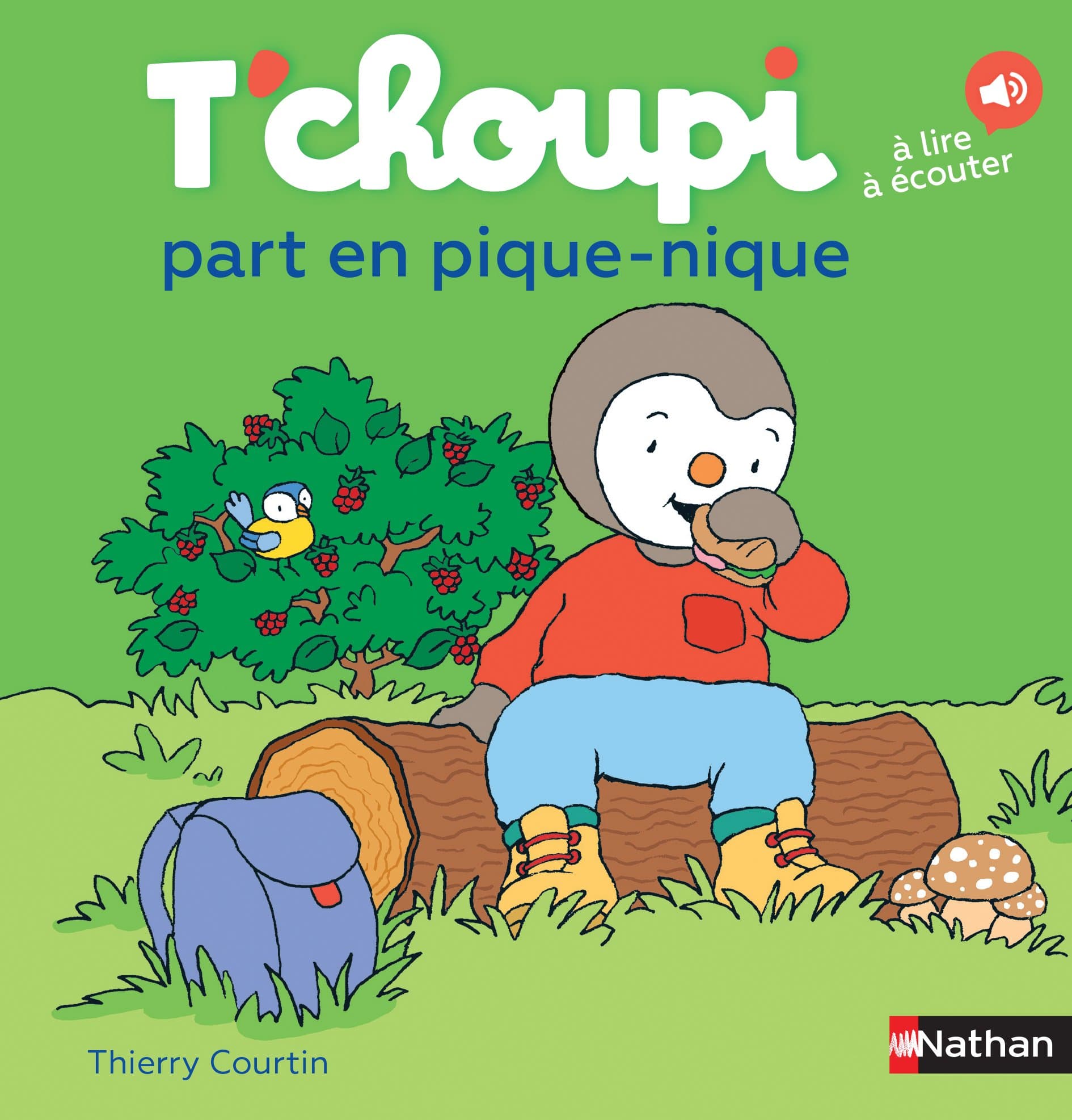 T'choupi part en pique-nique (19)