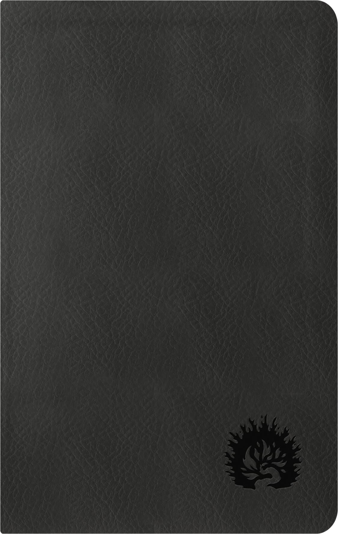 ESV Reformation Study Bible, Condensed Edition, Charcoal Leather Bound – 23 Oct. 2017