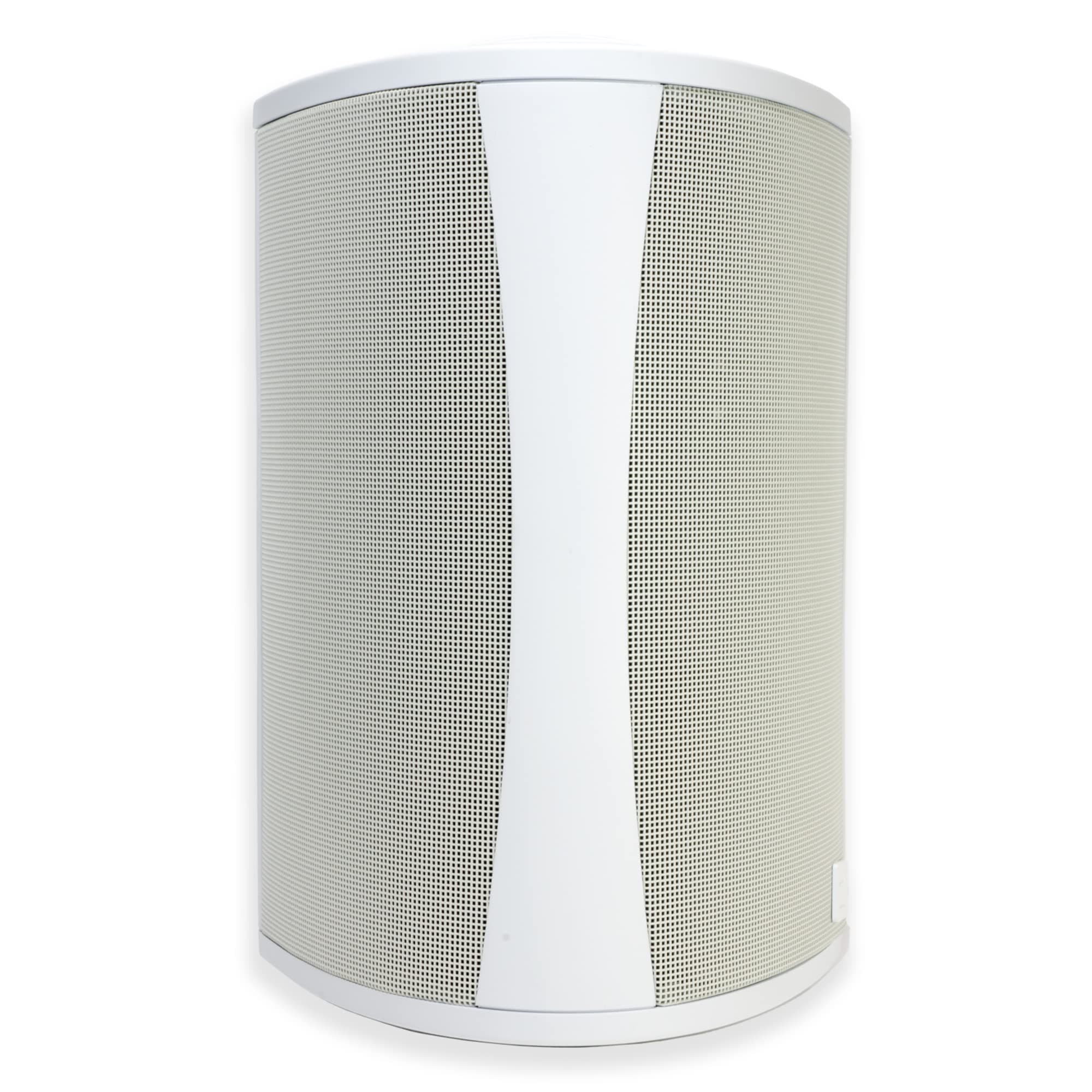Definitive Technology AW 6500 Outdoor Speaker (Single, White)