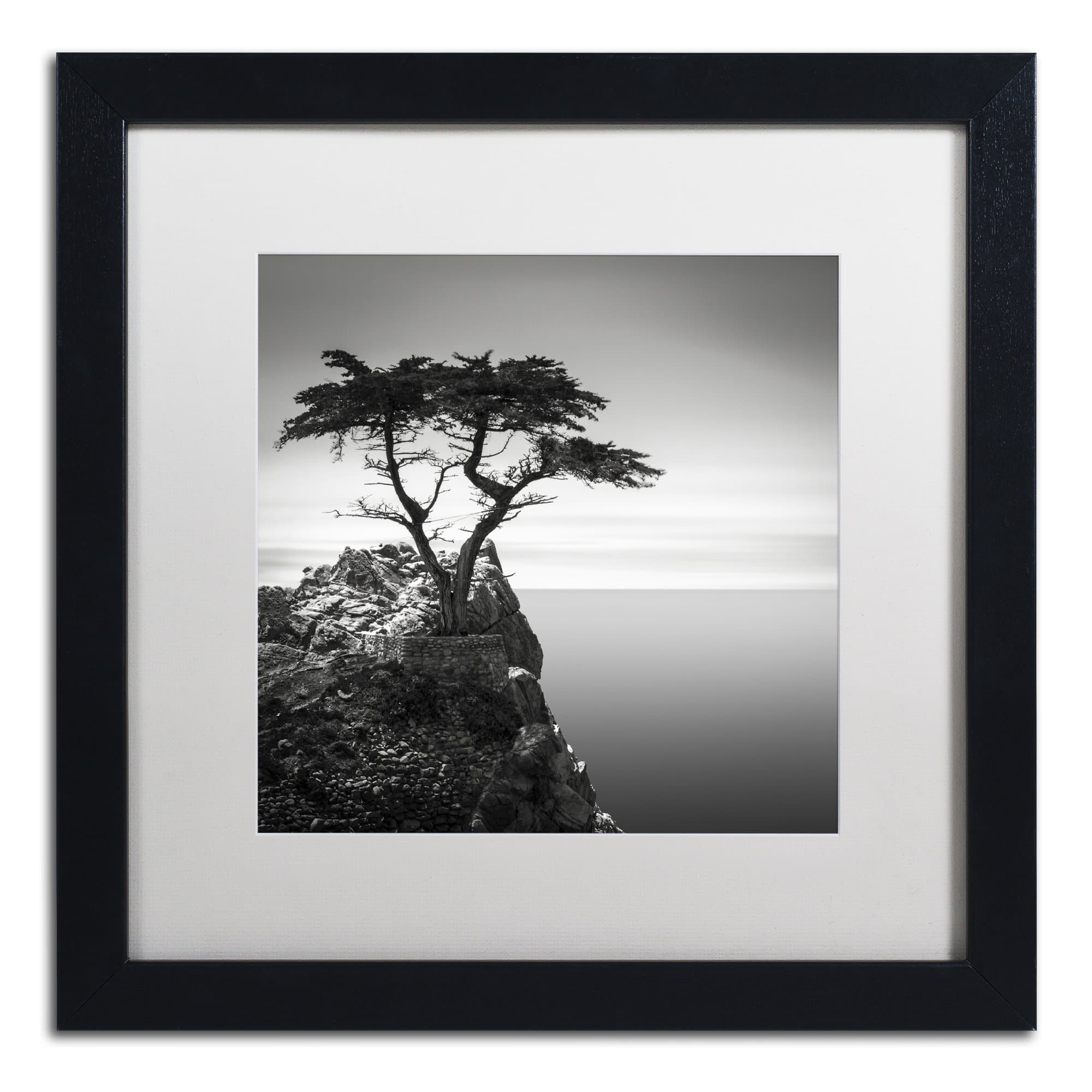 Framed Wall Art - Dave MacVicar 'The Lone Cypress' Wall Decor with Matted Frame by Trademark Fine Art