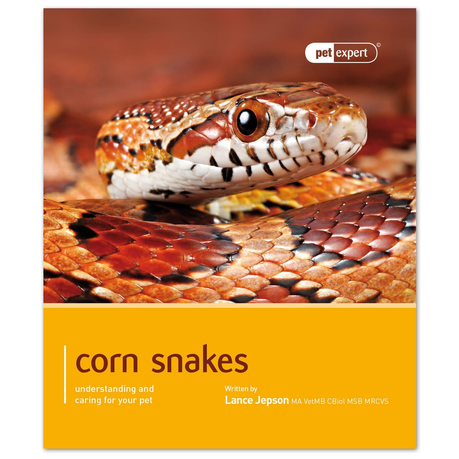 Corn Snakes: Understanding and Caring for Your Pet (Pet Expert)