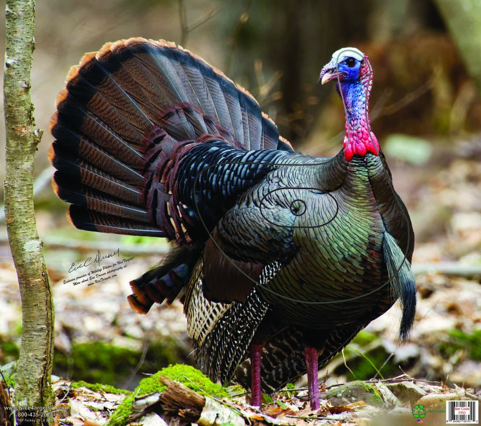 Turkey 20" x 22.5" Recyclable Plastic Weather Resistant Target TNTTurkey-M