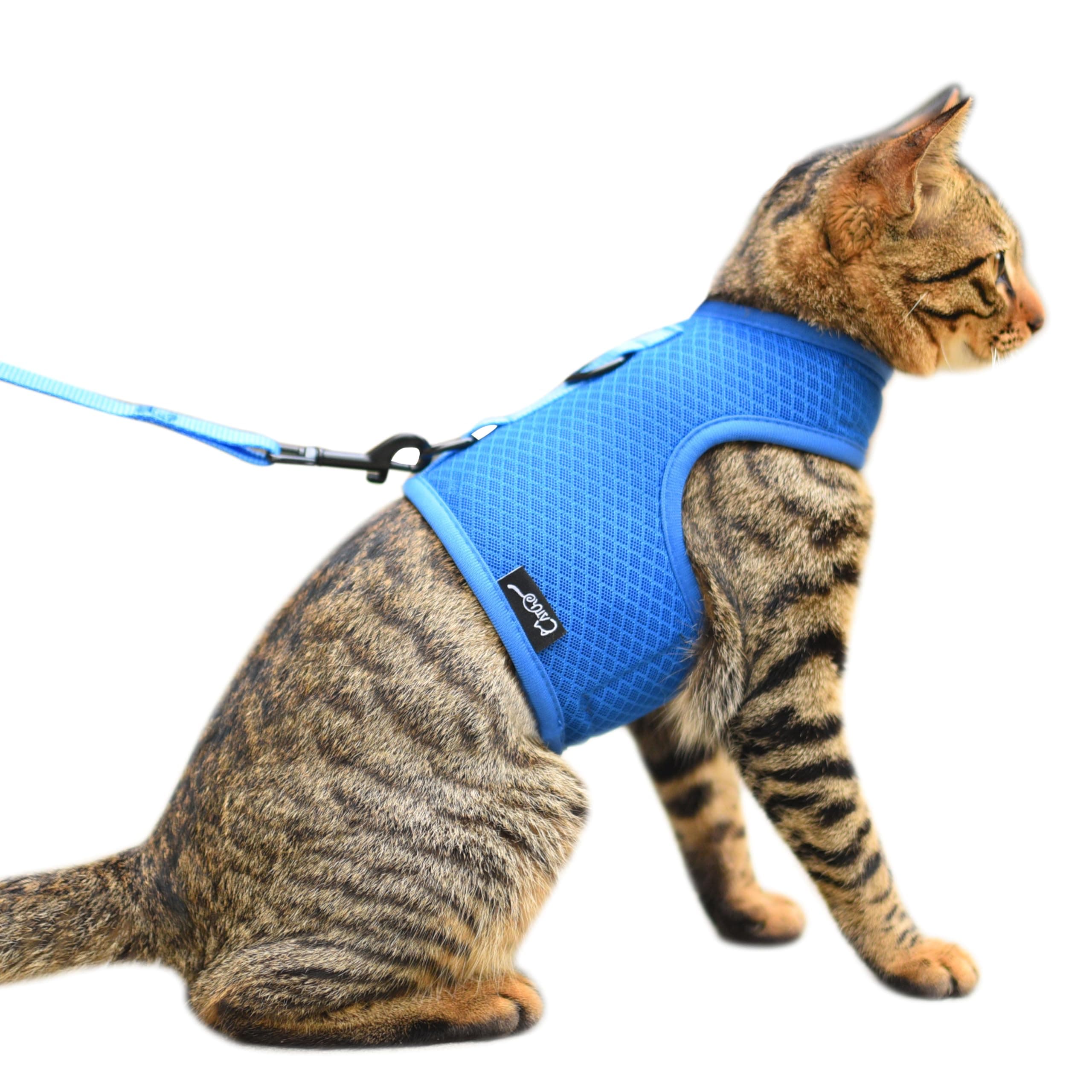 Cat Harness and Leash for Walking Escape Proof Breathable Mesh Fabric, Solid Blue, Extra Large, Adjustable Cat Walking Jackets, Padded Stylish Cat Vest